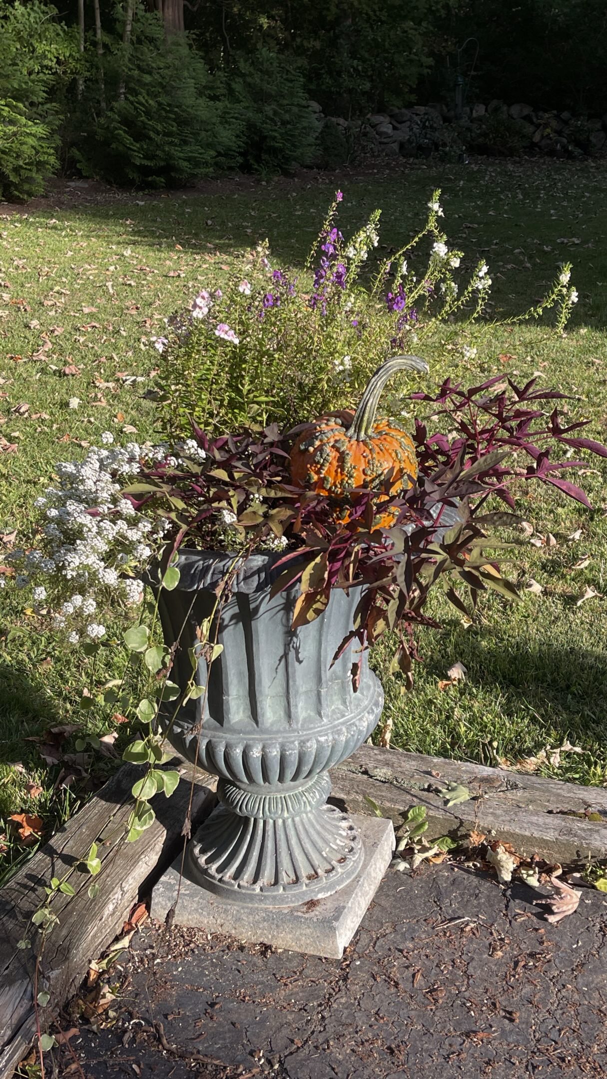 Easiest way to bring fall into your house is by going outside and snipping what’s in bloom, changing out your urns, and adding a pumpkin or two to your porch 🎃🍁🕯️