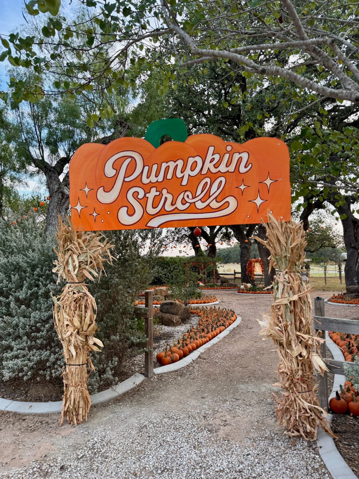 The scene is set, y'all. We cannot believe opening weekend is already here! ๐๐
Sooo many fun new additions coming to the farm this season. We are most excited about the NEW mega slide and food items! Plussssss (not the fanciest, but still exciting) more restrooms for parents to have private and comfortable space to let the kiddos do their business, and our private nursing area for mamas to be comfortable and have privacy.
Thank you to our amazing guests for supporting our family business. Y'all's support means to WORLD to us, and allows us to keep improving and adding new things year after year.
Here is to our 2026 Pumpkin CountryFest season! ๐คฉ
To help you plan
-Open this Saturday & Sunday, 10am - 6pm
-Tickets are DATE specific. We recommend grabbing yours online to lock in your preferred date, plus they are discounted online vs at the gate. Tickets are only available at the gate if we are not sold out online! devineacresfarm.com/fall-admission
-Come hungry, thirsty, and ready for crazy desserts. Food is part of the Devine Acres experience! Fan favorites are: Monster Mac, Crazy Donut Shakes, Specialty Lattes, Nachos, Fresh Kettle Corn, Apple Cider Donuts, and Our Frozen Margs/Flights (21+)!
-Live Music: 11:30am - 5:30pm, Goat Races: 12, 3, 5pm
-Directions to the fun: 944 FM 2200, Devine, TX
SEE Y'ALL SOON! ๐ค