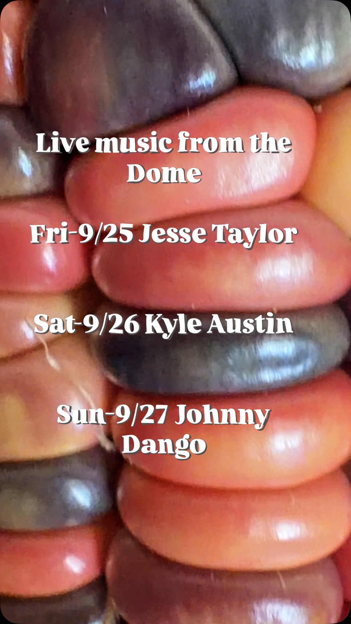 Live music this last weekend of Sept!