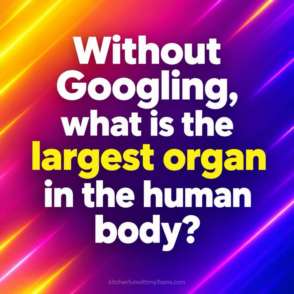 Tell me in the comments. #goatmilksoap #goatfarm #goatmilk