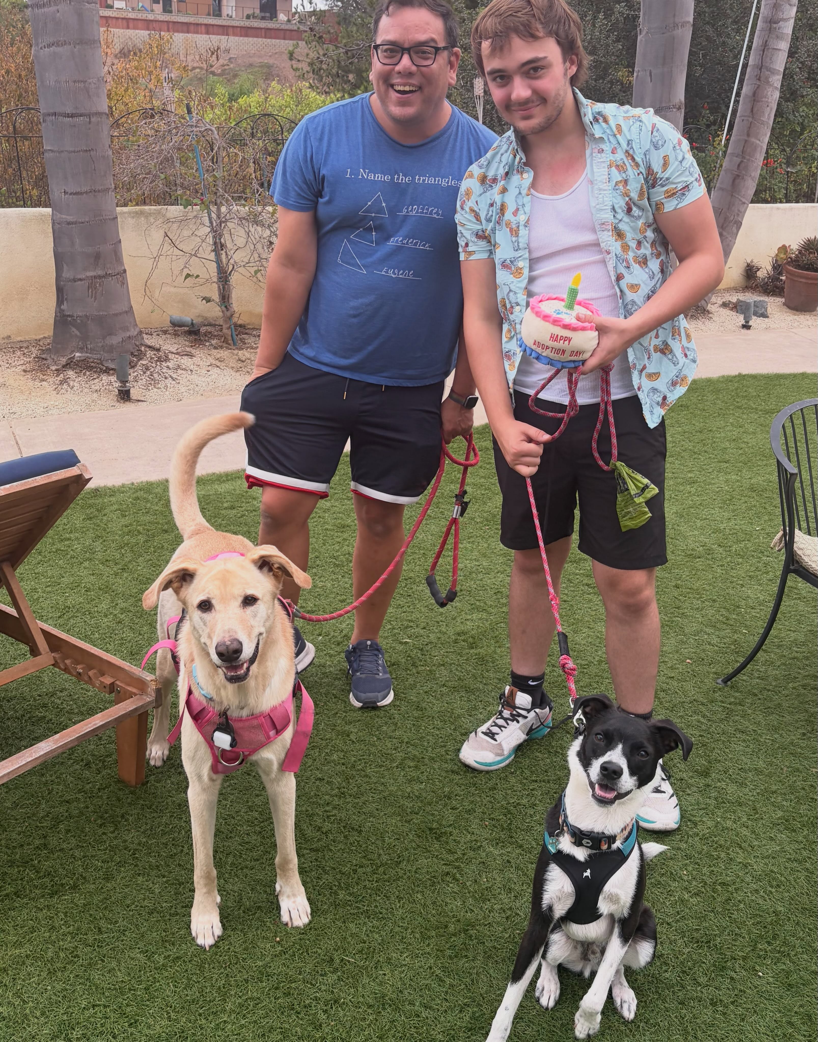 Our prayers were answered! Not only did PANDA get adopted into an amazing, loving home, but his new sister Lacey is also an ALMA rescue, getting adopted from us in 2022. π
Panda is such a special, special boy and we are SO happy he finally found his forever family. ππ©·
#rescuedwithlove #adopted #happilyeverafter #almasiblings #almarescue