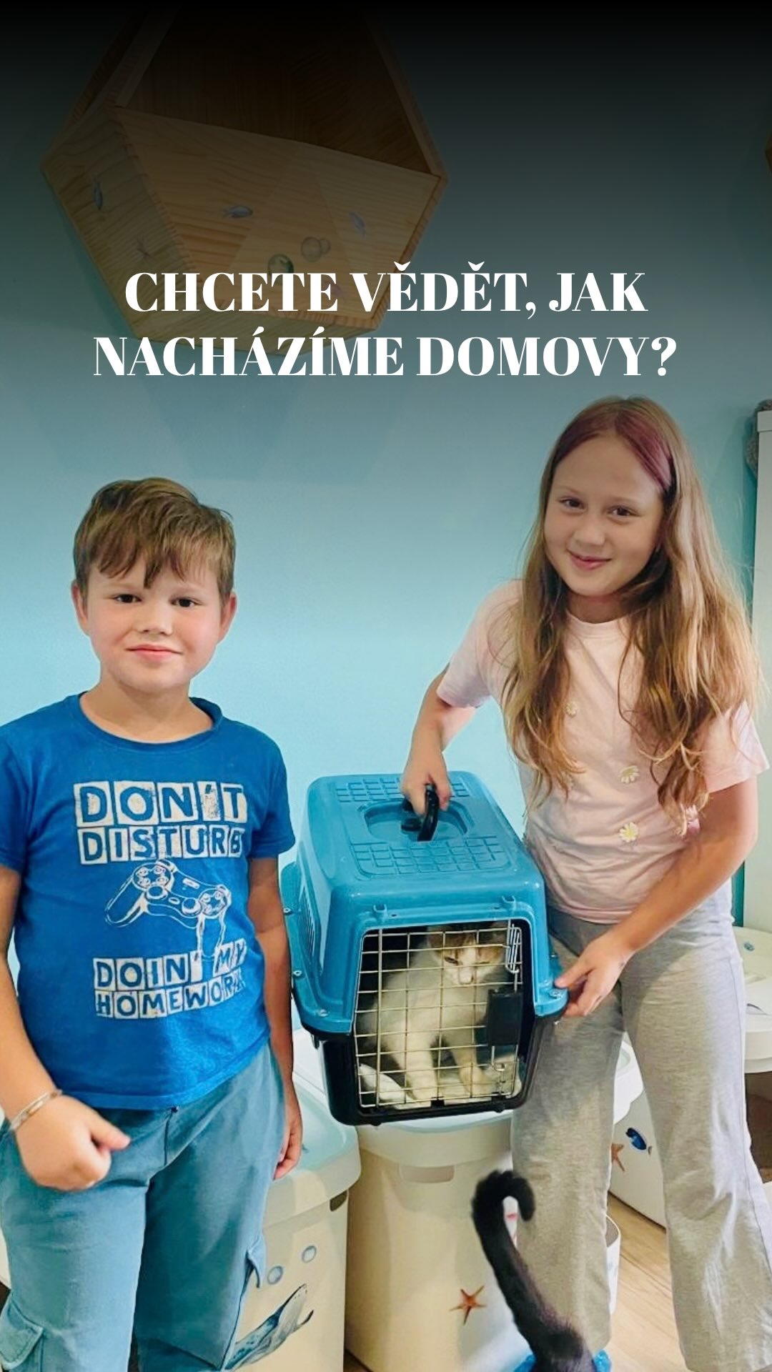 Všichni se nás pořád ptají, jak to děláme, že nacházíme pro kočičky tolika domovů... No, nechtěly jsme to moc šířit, ale tady máte naše tajné know-how v přímém přenosu! 😂
Ale teď vážně – tenhle chloroformový humor budeme v nejbližších týdnech sakra potřebovat. Podzimní lavina příjmů se totálně provalila, útulek praská ve švech a nových domovů budeme muset najít opravdu NIKDY NEKONČÍCÍ MNOŽSTVÍ. 🌊🐾
Pokud byste tedy chtěli někomu ušetřit odchyt chloroformem, pošlete tohle video dál! Hledáme totiž zástupy skvělých páníčků, dočasných péčí i adoptivní rodiny pro všechny ty naše podzimní poklady. 😂
Kdo se přihlásí dobrovolně a bez přemlouvání? Napište nám do zprávy! 👇
Terka ze Šklíby 🐾