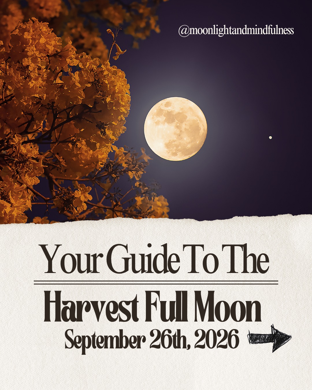 🌕 On September 26, 2026 the Harvest Full Moon is rising.
🍂 The Harvest Moon gets its name from its timing: it's the Full Moon closest to the Autumn Equinox, and historically, its bright evening light gave farmers more time to gather their crops. That symbolism feels especially beautiful now. This moon arrives at the beginning of a new season asking you to look at what your own life has grown this year. What survived? What became stronger? What finally came together after months of effort you weren’t sure would lead anywhere?
🌕 Let this Full Moon be about recognizing what you have before immediately reaching for what comes next. Give thanks for the people who stayed, the parts of yourself you got back, the doors that opened, and even the things that taught you when it was time to walk away.
⭐ You're entering a new season with more information about what deserves your energy. Harvest what is good. Release what has run its course. Carry forward only what you want to keep growing.
#fullmoon #harvestmoon #fullmooninaries #ariesfullmoon #fall
Caption adapted from @collectiveworld