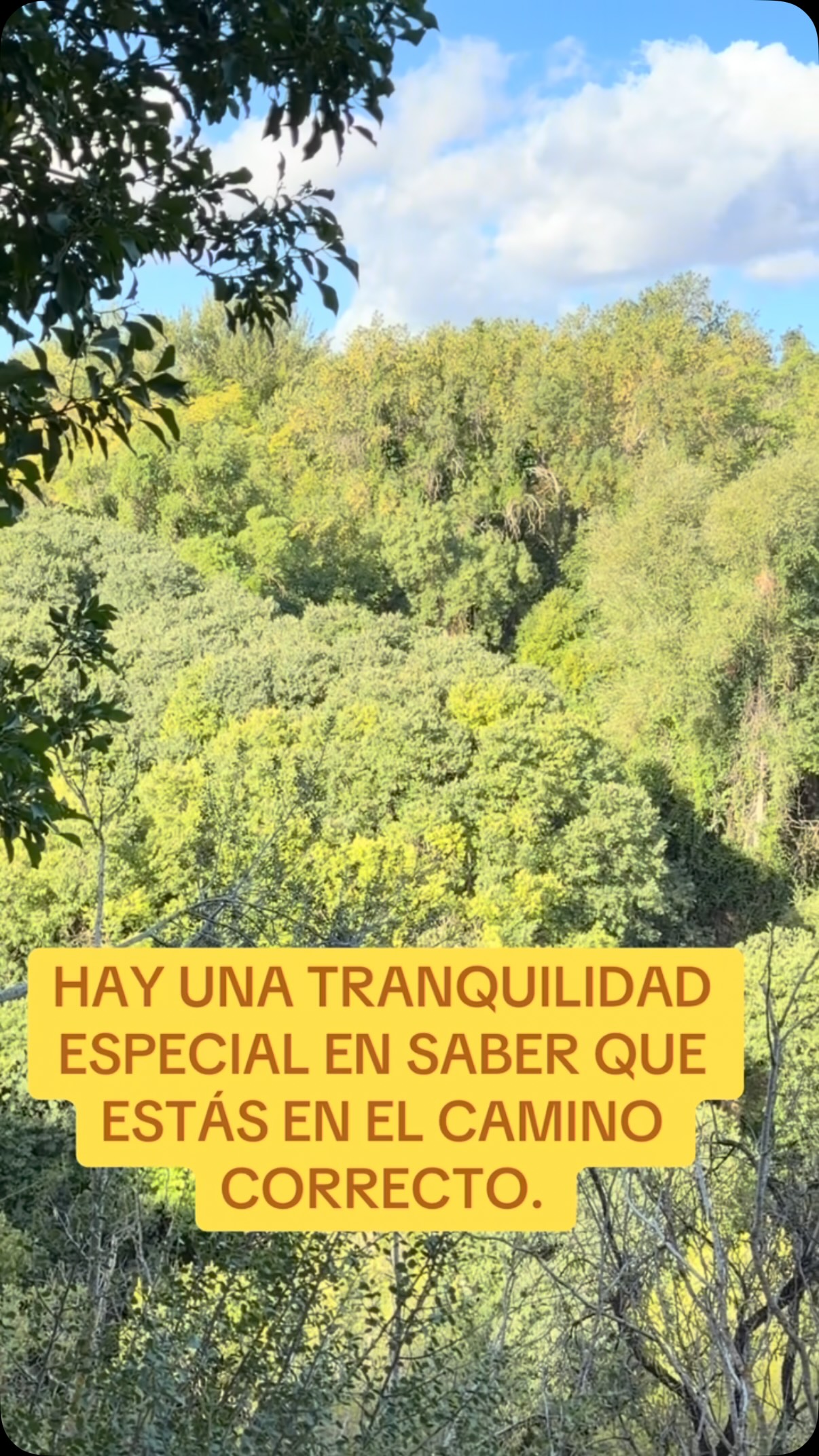 HAY UNA TRANQUILIDAD ESPECIAL EN SABER QUE ESTÁS EN EL CAMINO CORRECTO.
En el canto no siempre vas a notar avances inmediatos. Habrá días en los que una nota no salga como quieres, en los que una obra parezca demasiado difícil o en los que te preguntes si realmente estás progresando.
Pero cuando tienes una buena dirección, entiendes lo que estás trabajando y empiezas a conocer mejor tu voz, aparece algo diferente: tranquilidad.
No porque todo sea fácil, sino porque sabes por qué estás haciendo cada cosa y hacia dónde estás avanzando.
El estudio del canto necesita tiempo, constancia y paciencia. No se trata de buscar resultados rápidos, sino de construir una técnica que te permita seguir creciendo.
Y cuando sabes que estás trabajando en la dirección adecuada, incluso los días difíciles forman parte del camino.
🎶 Sigue trabajando. Sigue aprendiendo. Sigue tu camino.
#canto #clasesdecanto #madrid #cantar #aquiestoy