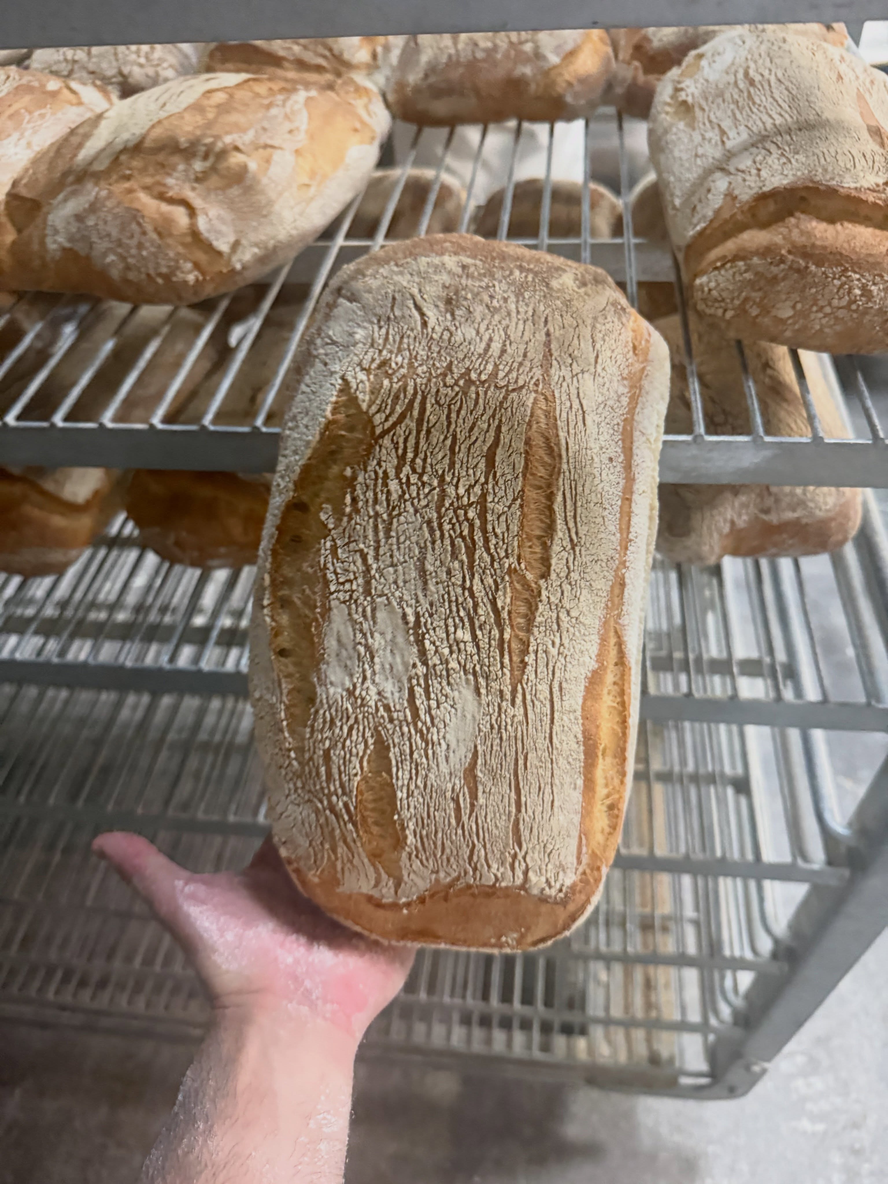 Baker POV: the daily bread report 📸
Same bread (rustic ciabatta), different day. Every bake, our bakers photograph the finished loaves so our production team can see how everything came out, from crust and color to shape, scoring, and crumb.
It’s a small step in the process, but it’s part of the attention that goes into every loaf we make.
And if you notice that the bread looks a little different from one bake to the next? That’s artisan bread. Temperature, humidity, fermentation, the flour, the dough… it all plays a part.
We’re not chasing identical. We’re paying attention. Every. Single. Bake. #mediterrabakehouse #ciabattabread @wholefoods
