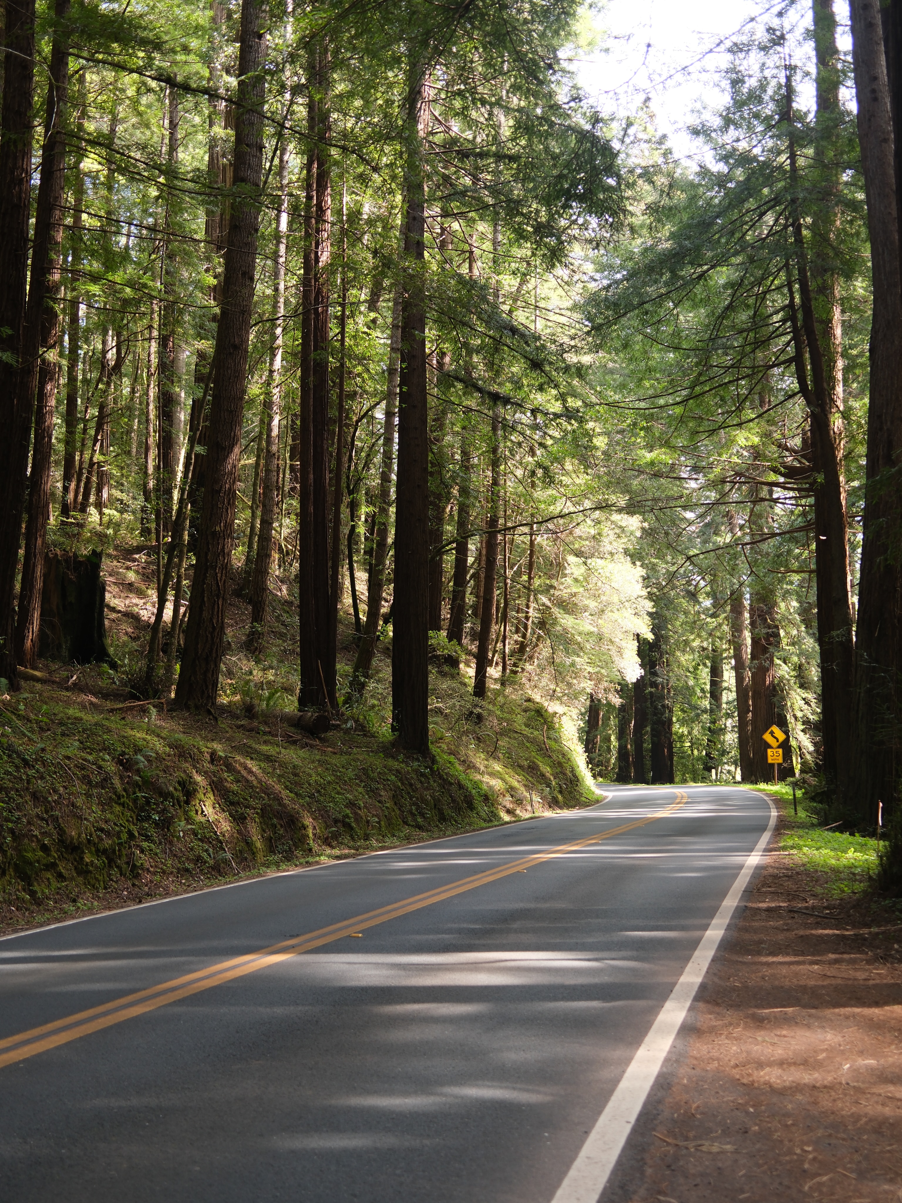 What’s hiding beyond the redwood curtain?🌲
Winding roads, hidden places, crashing waves, and turquoise waters stretching out beyond the cliffs.
You never know what you’ll find here. 🌊
#Mendocino #ExploreCalifornia #CaliforniaDreaming #WeekendGetaway #NorthernCalifornia
📷: @charlinemgrt