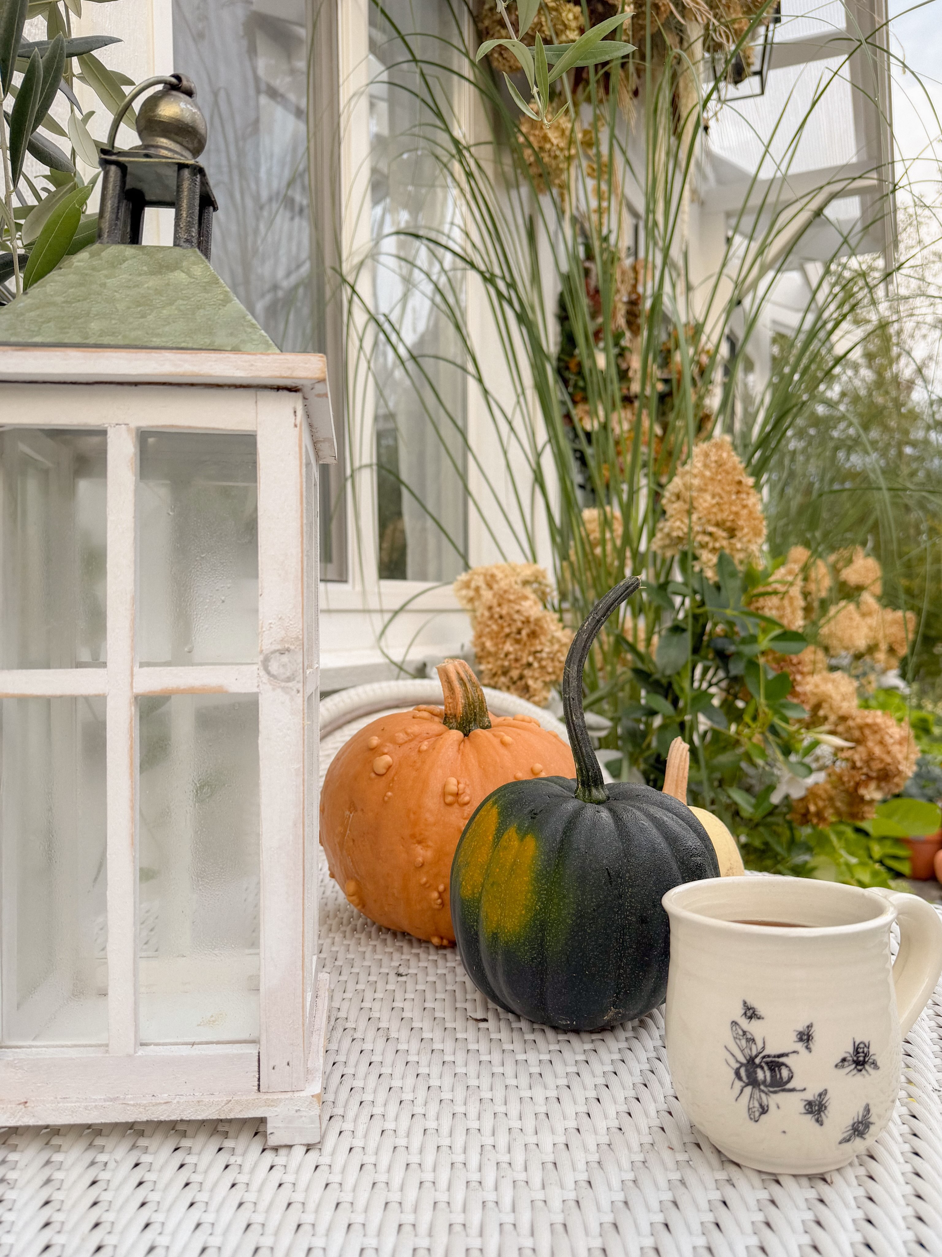 🍂 It’s almost time… 🤍
We’ve been busy behind the scenes getting My French Country Flower Studio ready for autumn, and I’m so excited for this weekend!
On Saturday, we’ll be welcoming our guests for our second Bloom & Brush workshop with Lina and Miranda of Art by Miranda. A beautiful afternoon of flowers, painting, creativity and connection. 🌿🎨
Then on Sunday, we’re officially opening the doors to our autumn-styled studio for our Photographer Concept Day. I can’t wait to welcome our photographers and share all of the little seasonal details we’ve been putting together.
From pumpkins and dried flowers to garden textures and those little French Country touches… the studio is ready for its autumn moment. 🍂
It’s going to be such a lovely weekend, and I’m so excited to finally share it all with you!
Welcome to autumn at My French Country Flower 🩶