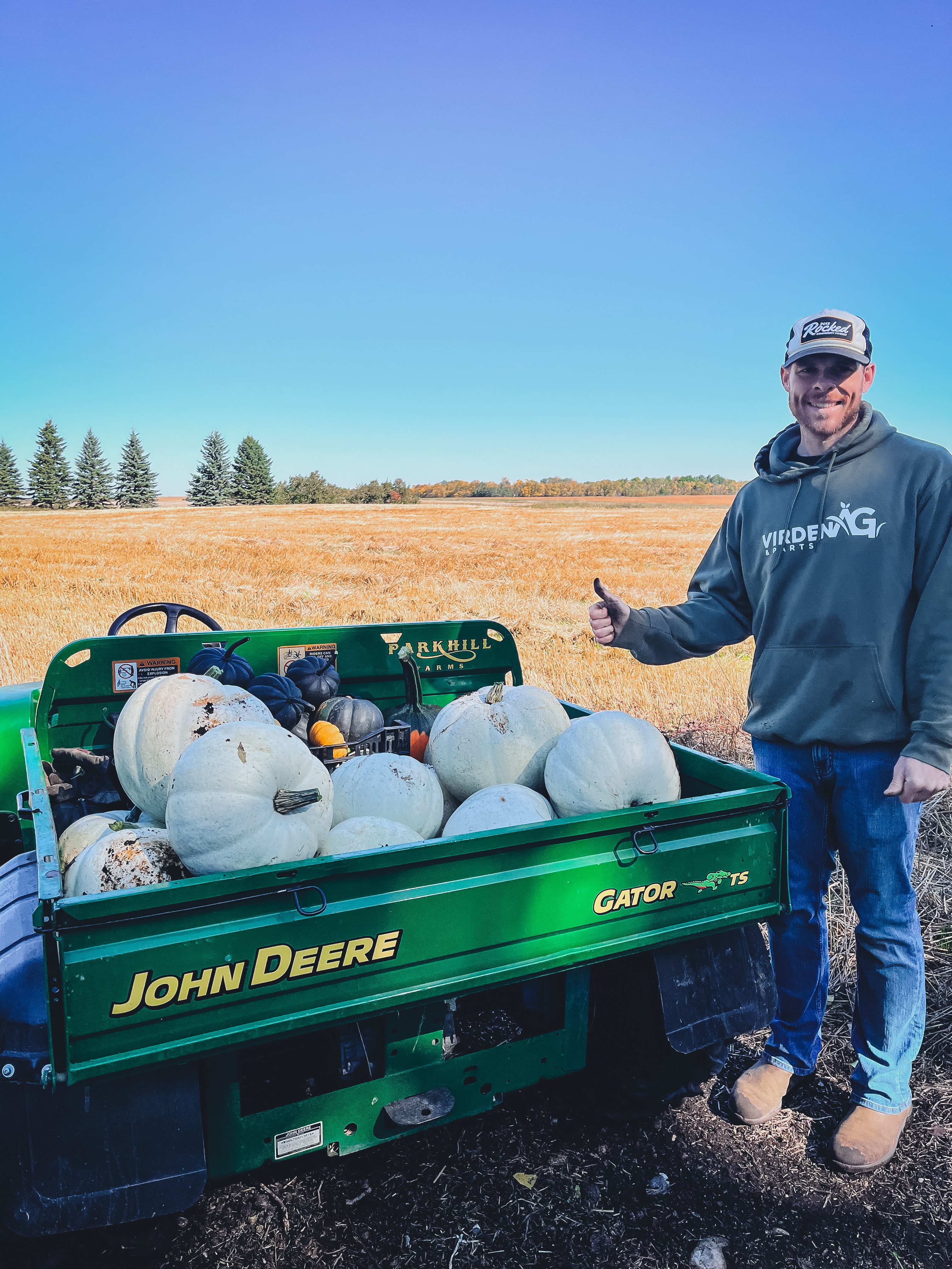 Just a couple of pumpkin models!