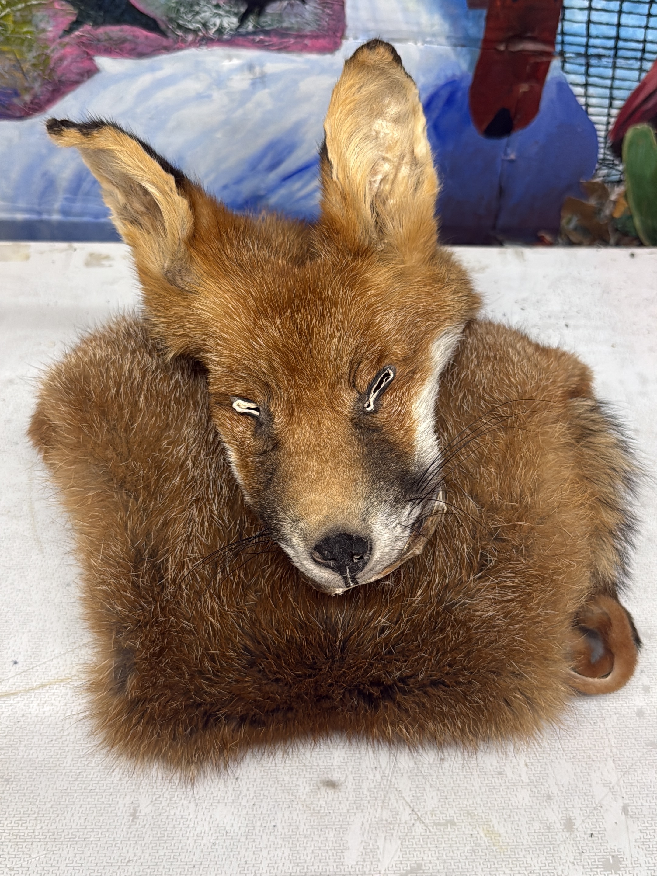 I popped to @gloucester_goblin_merchants_ near Gloucester Cathedral today. Kat who runs the shop and creates these amazing creatures (see them on her page @sticks.stones.n.bones ) and lots of other wonderful things. She commissioned me a fox whole pelt, and I’ve been meaning to visit the shop for quite some time so I thought why not deliver the fox in person and see her amazing shop. There’s incredible pieces, lots of makers and crafts people who handmade a lot of these items. It’s a must see. Please do pay a visit if you can, I highly recommend it. It’s en route to the cathedral in Gloucester.