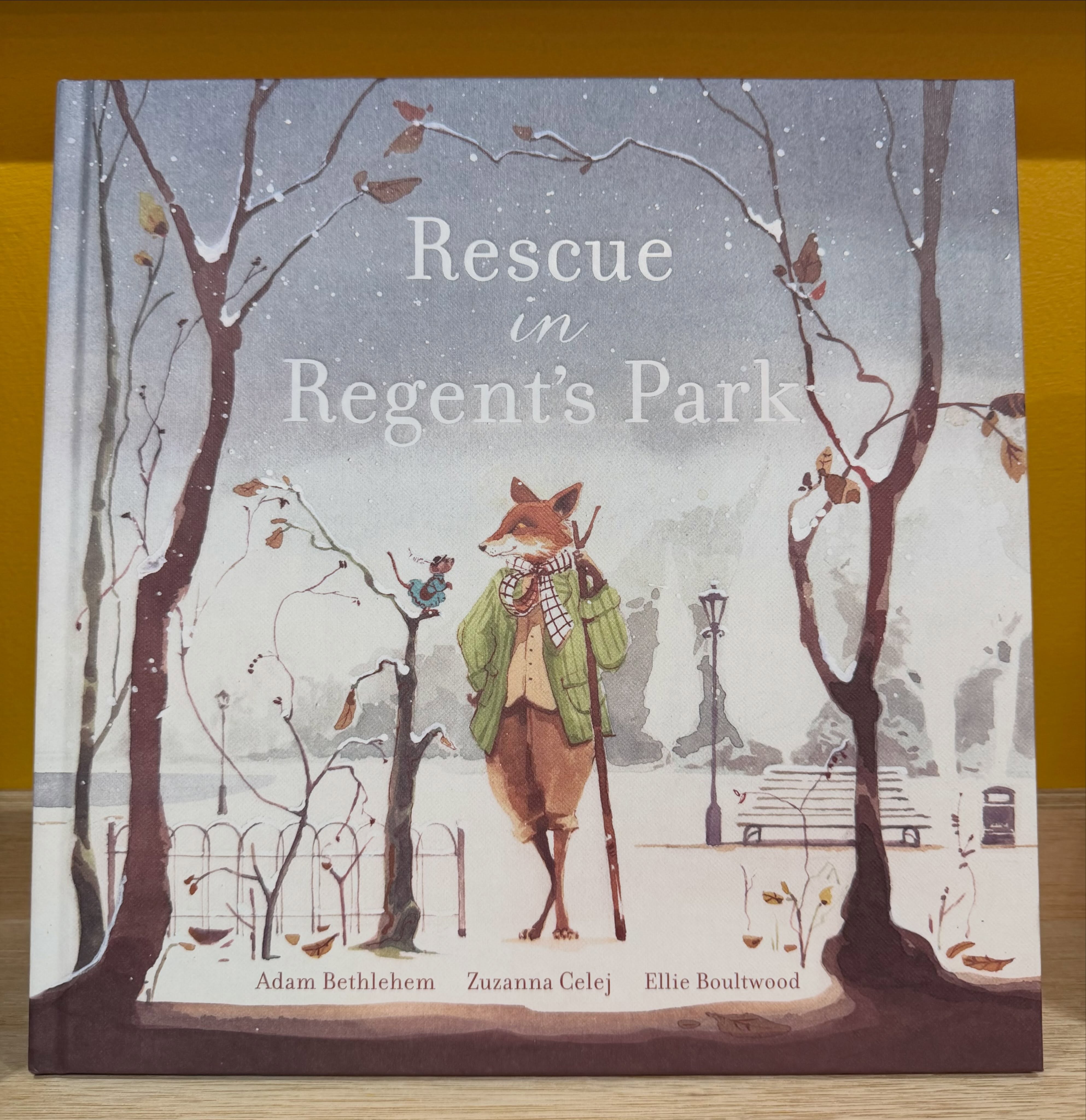 💥PUBLISHED 20/10💥
Rescue in Regent’s Park - £15