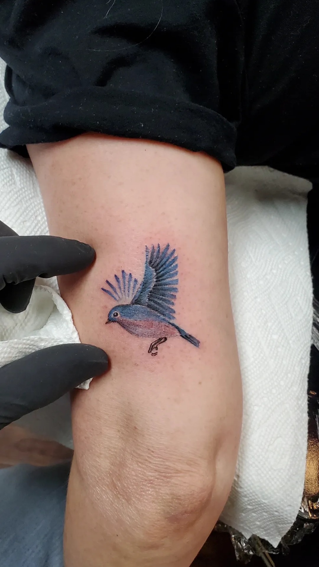 @desertrosetattooreno is a place for self-expression, and maybe a little rebellion! You can make an appointment with any of their artists, or they take walk-ins daily for tattoos and piercings 🖤
📍 777 S. Center St. #103
#MidTownReno #ShopLocalReno #RenoTahoe #BiggestLittleCity