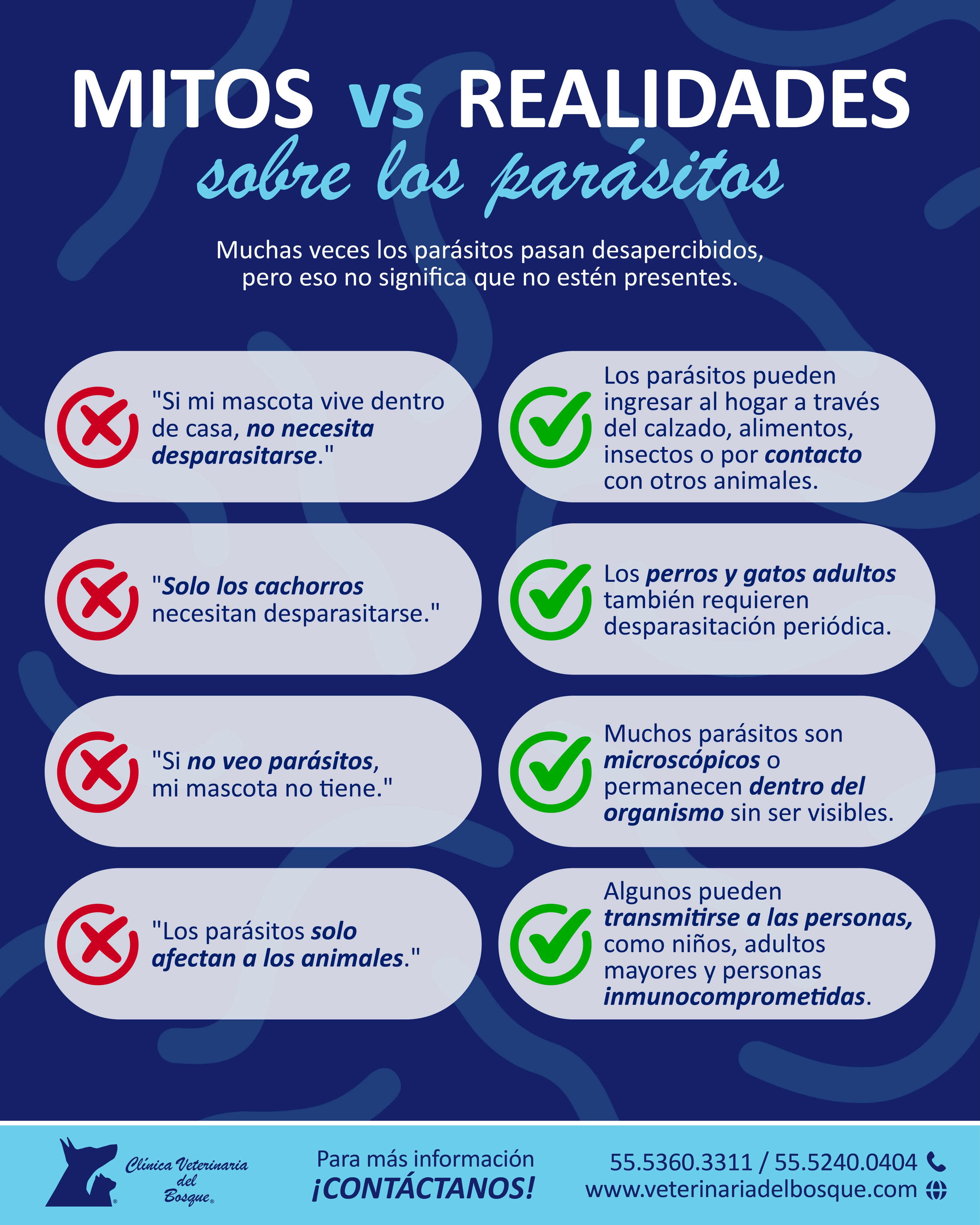 Muchas veces los parásitos pasan desapercibidos, pero eso no significa que no estén presentes.
Conocer la información correcta nos ayuda a proteger a nuestras mascotas y también a quienes convivimos con ellas.
📲 Agenda una revisión con nuestro equipo veterinario.
📞55.5360.3311 / 55.5240.0404 / 55.8841.5819
📍Hacienda de Temixco #8 Bosques de Echegaray, Naucalpan, México.
#Desparasitación #Ciclozoonosis #SaludAnimal #Prevención