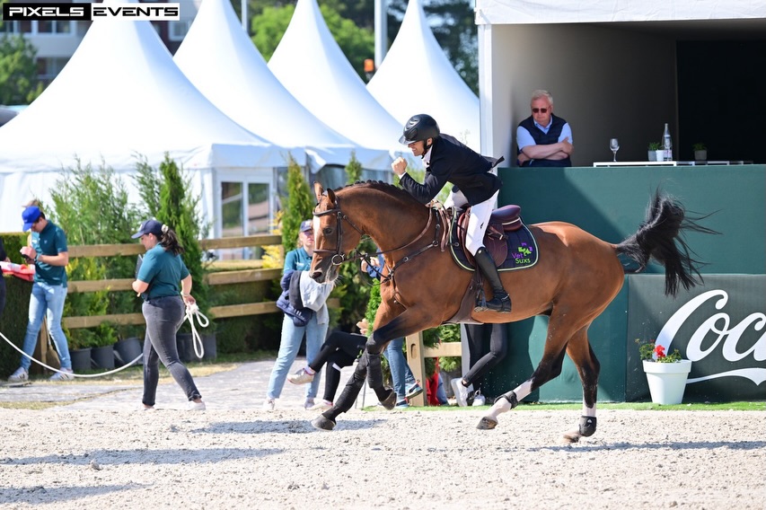 C’est avec émotion que nous apprenons la disparition de Catch Boom Bang
Merci pour ces deux saisons à tes côtés. Nous garderons de beaux souvenirs de ton passage parmi nous.
Nous pensons très fort à @christophe_grangier son cavalier, son ami 🖤