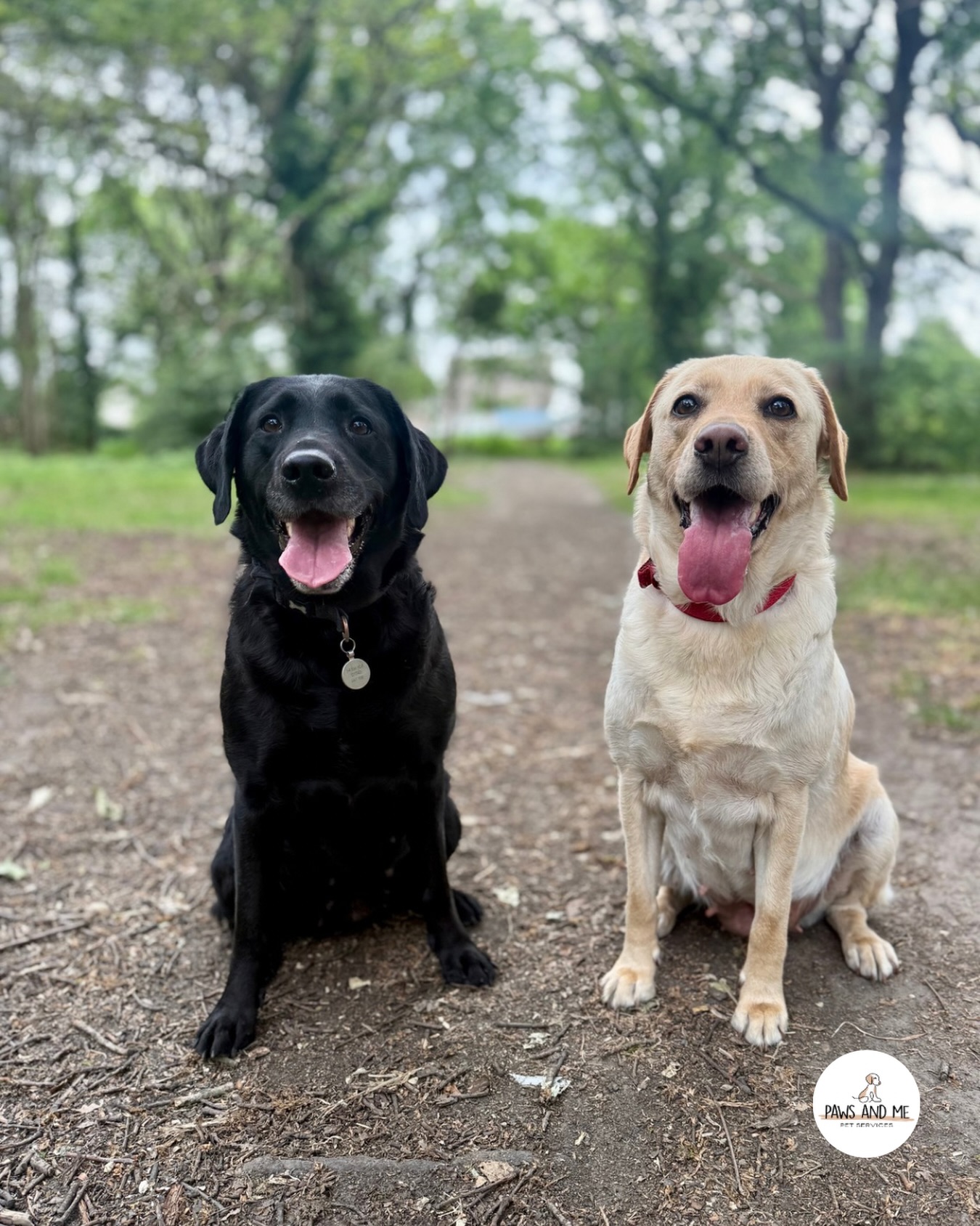 🐾 DOUBLE TROUBLE 🤎
Double trouble has entered the chat. 🤎🤎 Luna brings the mischief, Nova brings the chaos, and together they somehow make it look adorable!
Our Group Walk availability is limited! Enquire today if you need help with your pooch💌
#Dogsofinstagram #doglover #dogs #dogwalker #essexdogwalker