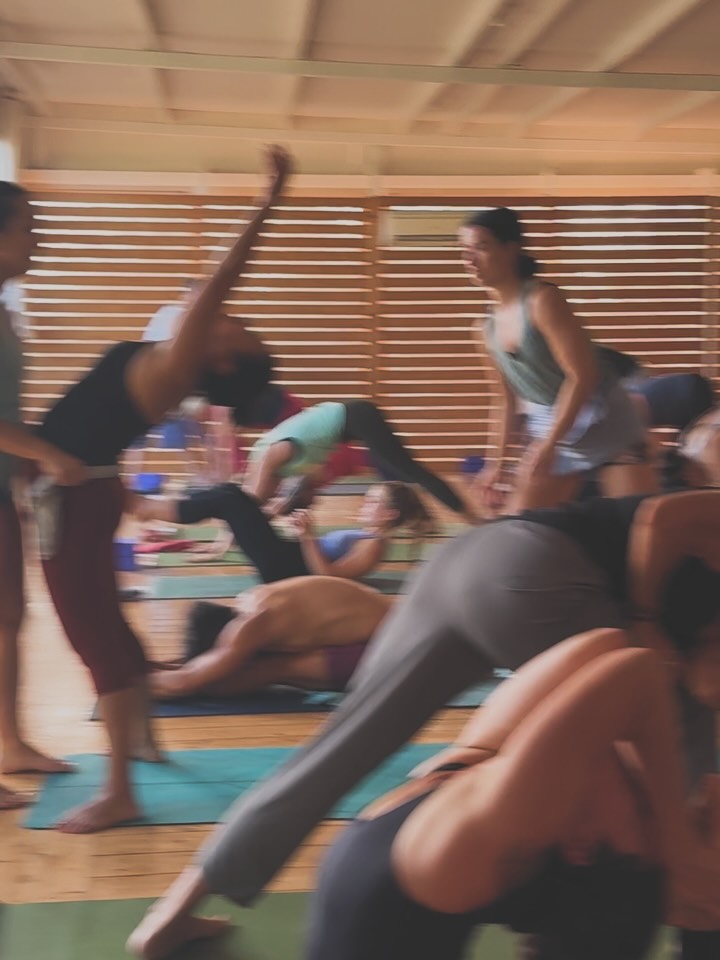 Beautiful time spent with my teachers, community, cats and sea 🌕♥️🫰🏽🙏🏽
Thanks Esme for the video and pic 🥰
#paros #yogapractice #ashtanga #ashtangayoga #greece