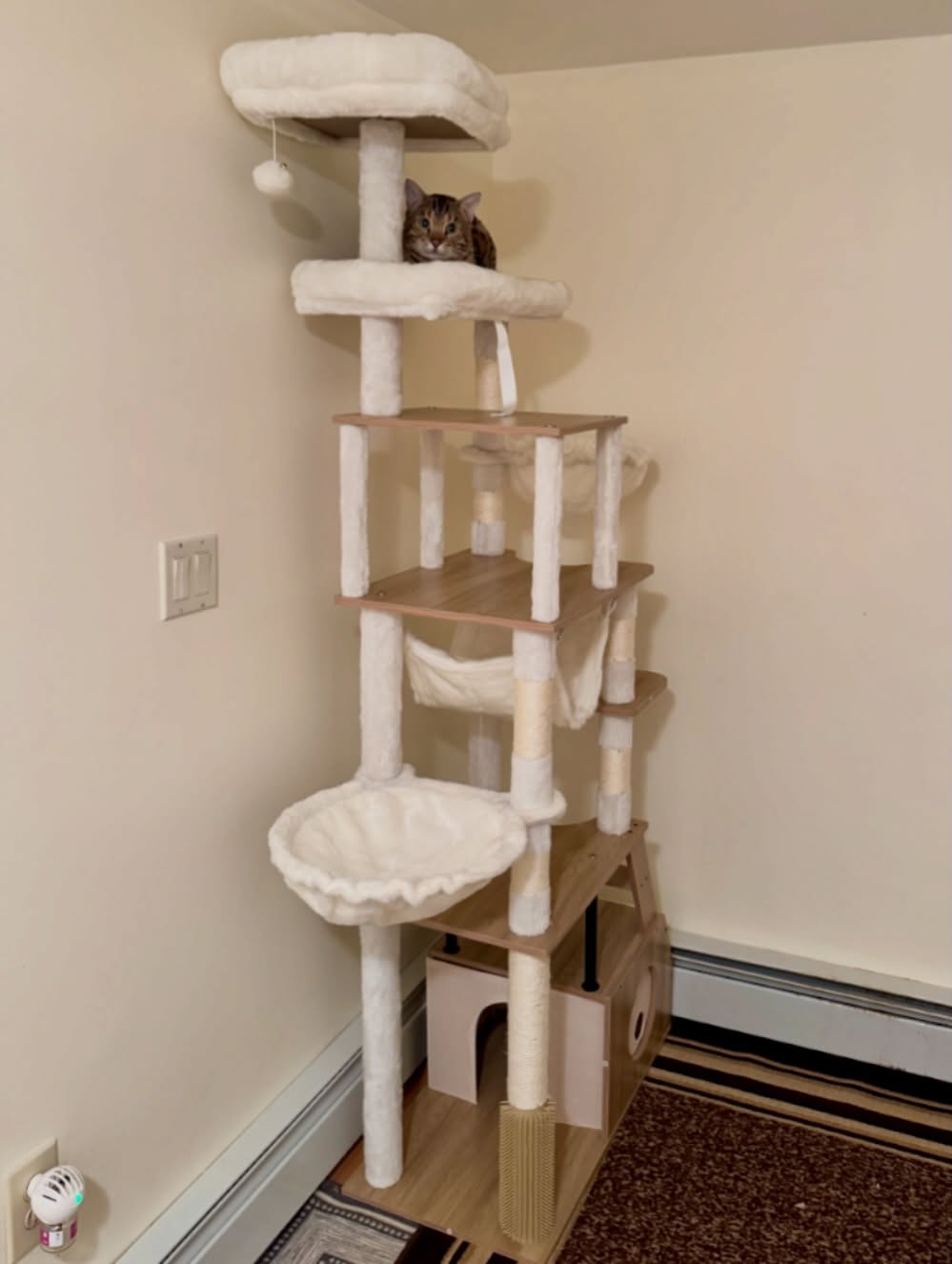 Rainy day? Perfect time to build a new cat tree. Monet approved! 🐾 #empawriumbengals #catlife #bengalcats #bengalcatsofinstagram #cats_of_instagram