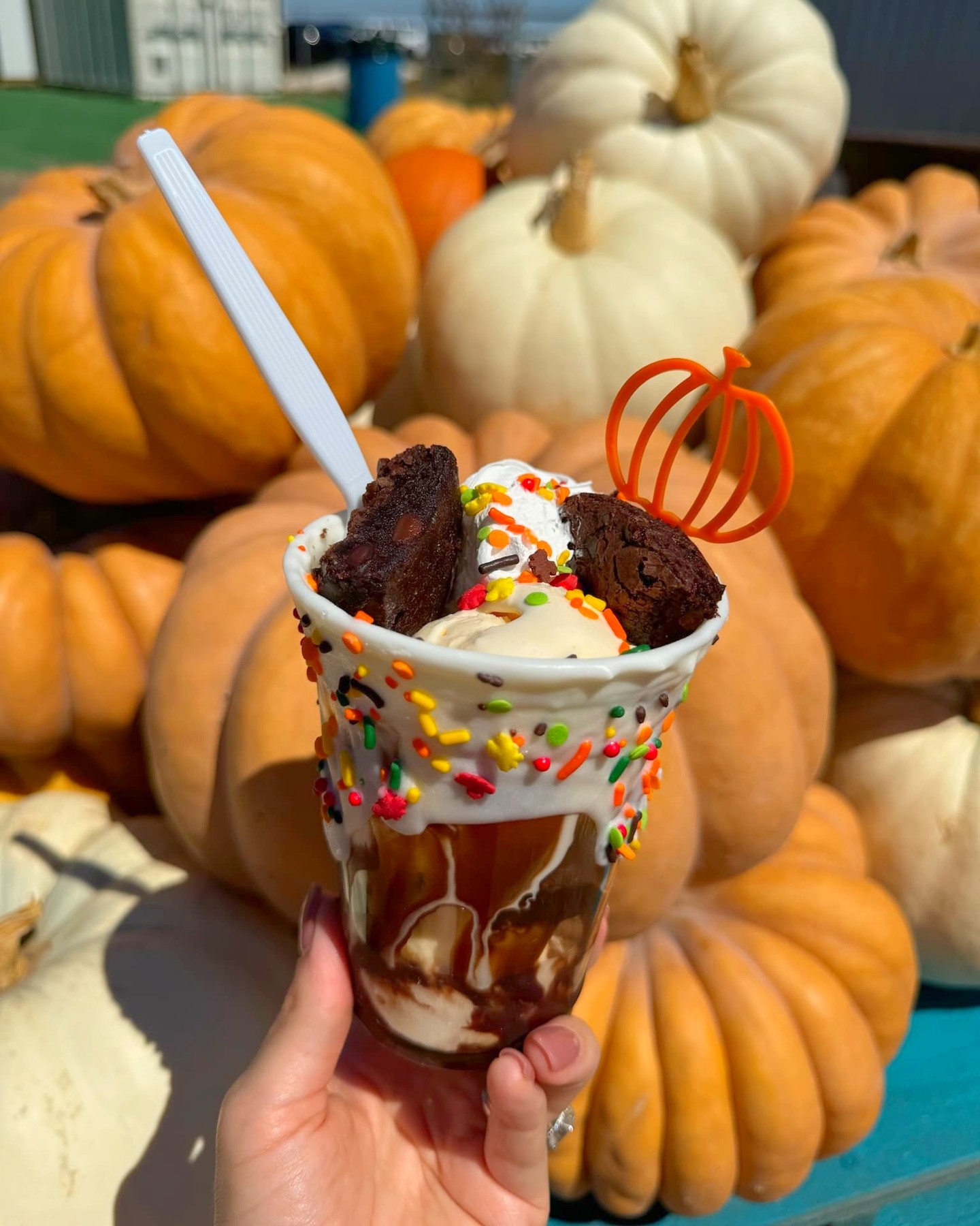 🎃 And just like that, we are OPEN for the season! ✨
Come hang, grab some food, check out the pumpkins, catch the live music, and stay awhile. 🎶🎃🍔
Saturday 12 - 10pm & Sunday 12 - 7pm
📍 5385 County Road 52, Robstown, TX
🎟️ rockinkmaze.com