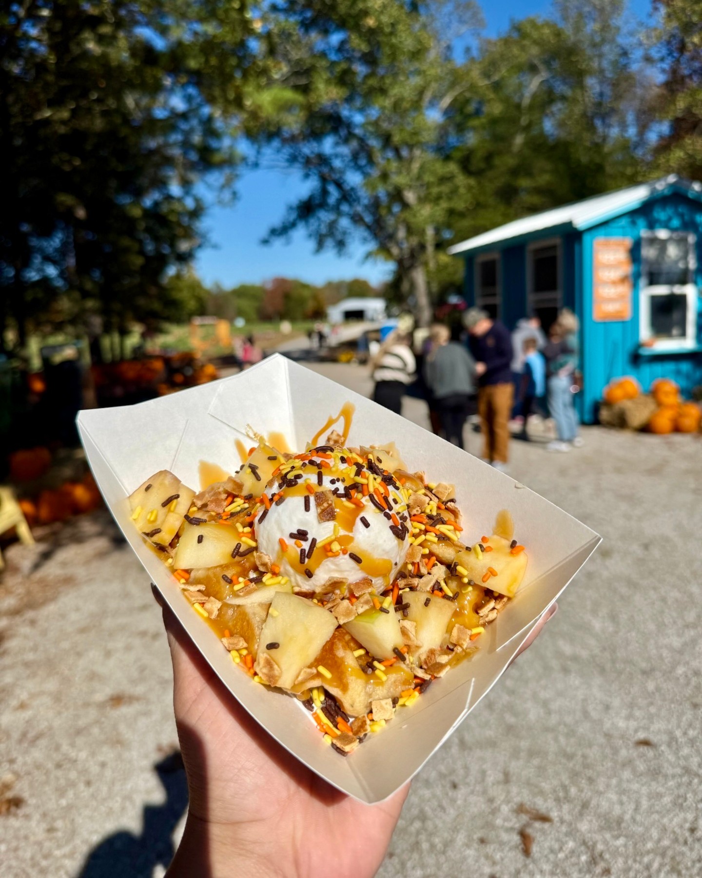 π The Day Has Come, OPENING DAY IS HERE!
The wait is FINALLYYY over! Missouri Pumpkin Fest at Bloomsdale Fun Farm starts TODAY! π€©β¨
Join us today from 10 AMβ6:30 PM for pumpkins, rides, animals, food, photo ops, and all the fall memories waiting around every cornerπ πΈ π
π§‘ Grab the family and kick off fall with us today! We canβt wait to see you!
bloomsdalefunfarm.com/admission