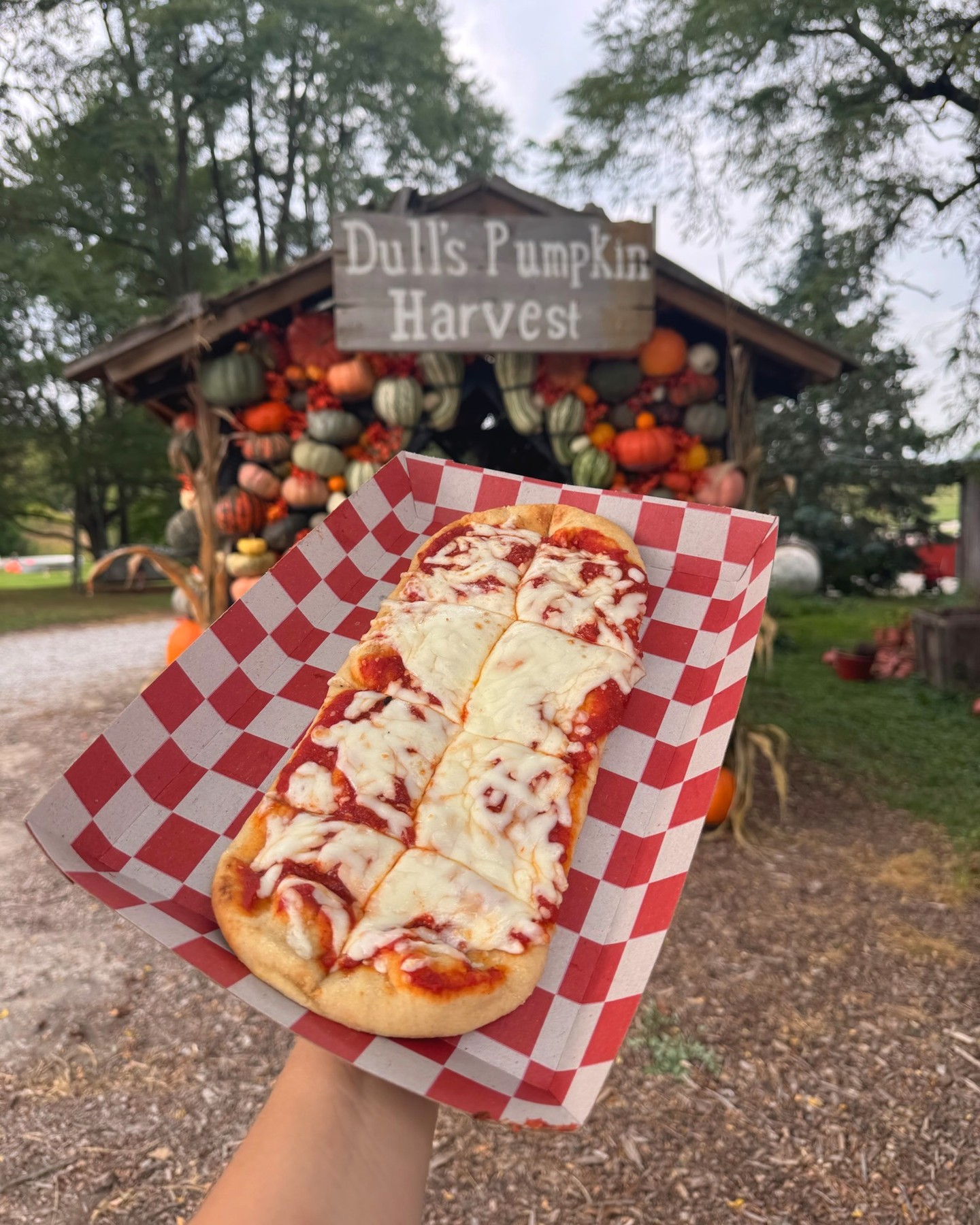 🎃 It's OPENING DAY at Dull's Tree Farm! ✨
Fall fun is officially here with pumpkin picking, wagon rides, the corn maze, seasonal treats, and 45+ family-friendly activities. 🤎
⏰ Saturday 10AM - 7PM | Sunday 1PM - 7PM
🚜 Today only: Antique Tractor Day & Touch a Tractor from 10 AM - 3 PM!
🎟️ Discounted tickets: dullstreefarm.com