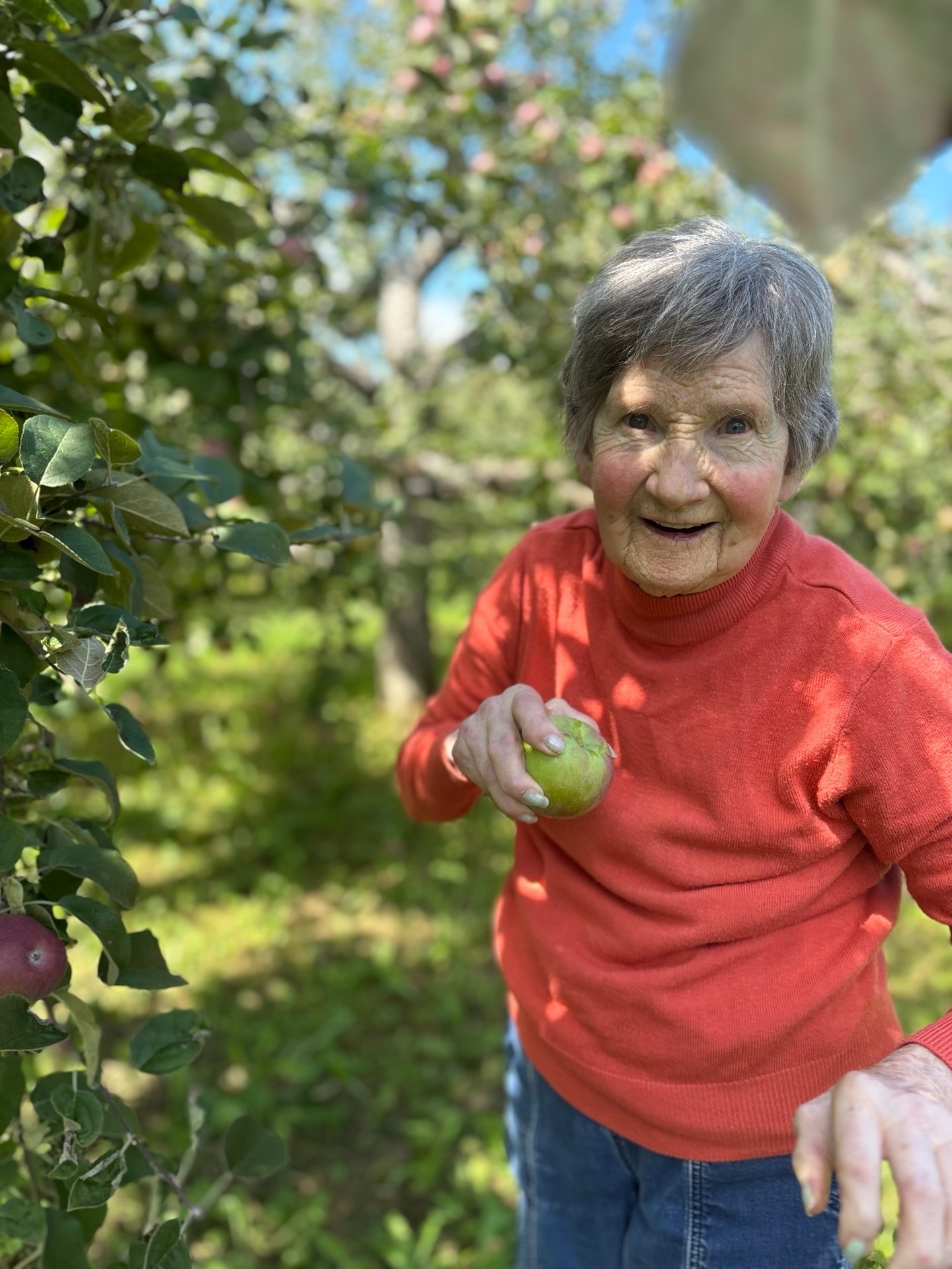 ๐ Corbel Memory Care takes on @stineorchardvt !๐ณโ๏ธ๐
#VergennesGrand #MemoryCare #vergennes #LifeisGrandHere #GSLcommunities