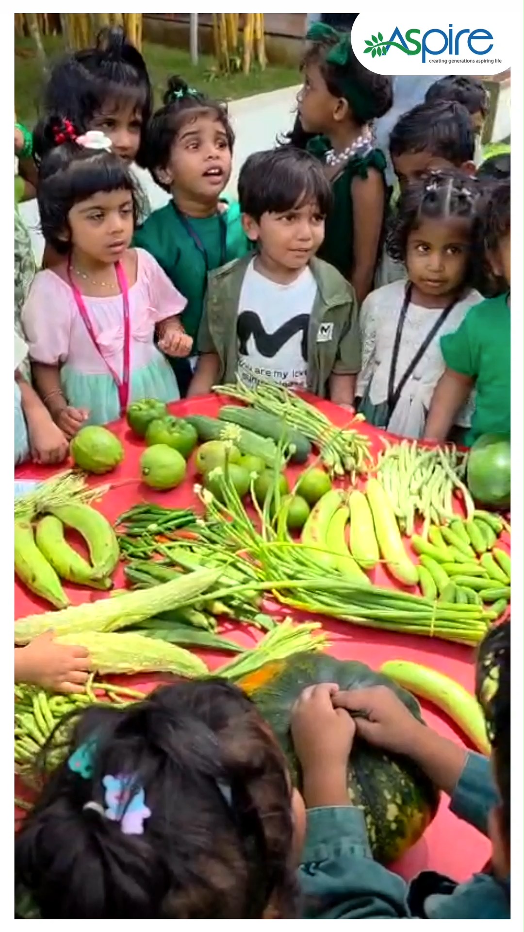 💚💚Green, green, all around,
Little explorers having fun! ☺️
🌳🌲From planting little saplings to making leafy hairdos, exploring veggies and mixing colours, our little ones had a wonderful Green Day! 🌿🌱☘️
#GreenDay #GreenDayCelebration #LittleExplorers #GreenIsTheColour #LearningThroughPlay #NatureExplorers #LittleGardners #GoGreen #EcoFriendlyKids