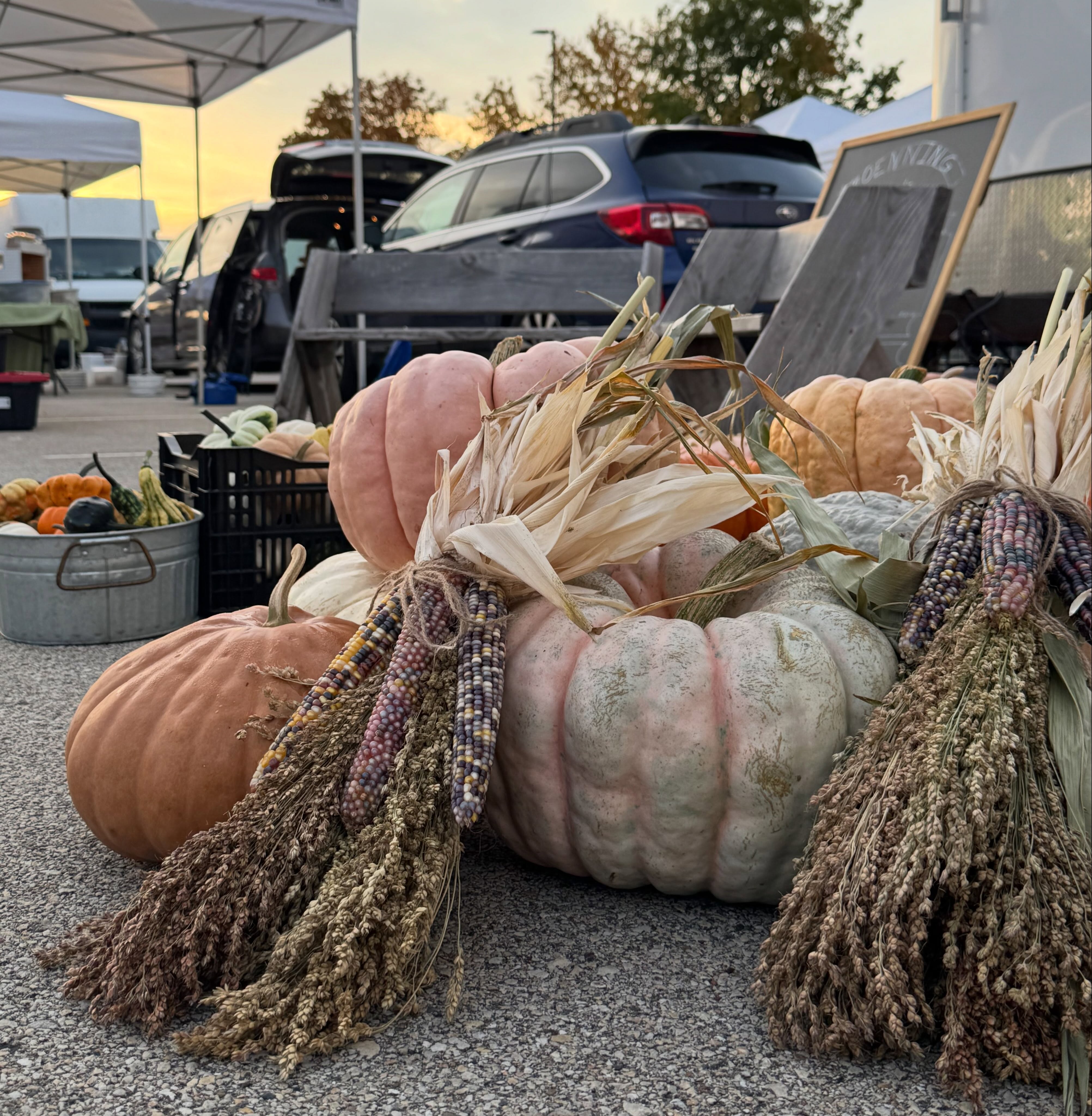 Fall is in the air! 🍂
Stop on by the farmers market this morning and enjoy the sunshine while it lasts!
Community at the Market event from 8-12pm
Meet some of our friends who help make our community better!
Bags Available today! Stop by and get yours before we run out! Thanks to @ryanwindowsandsiding for handing them out today!
See you soon!
#rochfarmmkt #mnlife #farmersmarket #rochmn