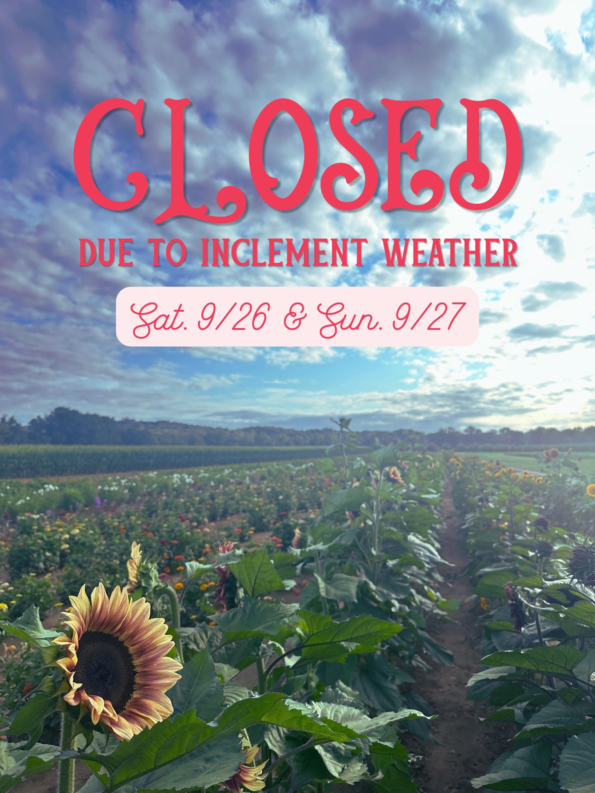 We will be closed this weekend, Saturday 9/26 & Sunday 9/27, due to inclement weather at both of our locations (Stone Tavern Orchards & Annie’s Orchard). Please stay safe everyone! We will see you next weekend!🌧️☔️