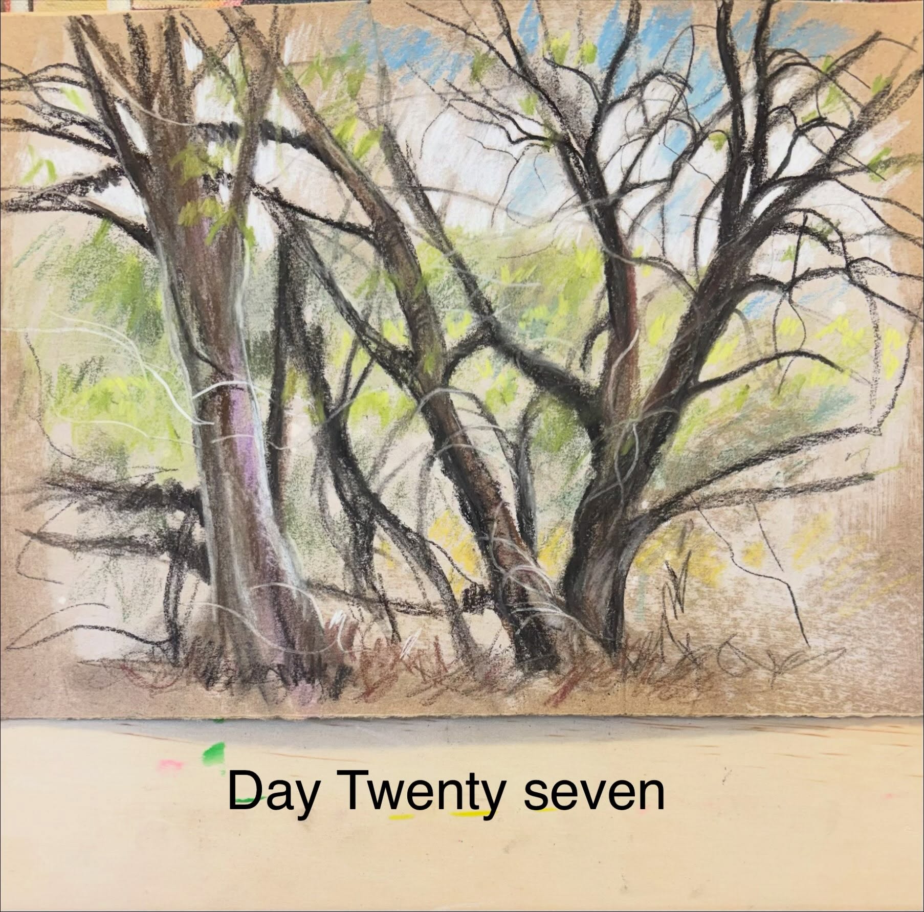 Day twenty seven of the Strada Easel Challenge. Getting close to the end. There are a few more local spots I want to explore for drawing possibilities. This clump of trees is just off Glenrosa Road Red Hill near the Salvos. It is just the kind of subject that ticks all the boxes for me right now. Very typically Brisbane.
#stradaeasel #stradaeasel2026 #drawingtrees #pasteldrawing