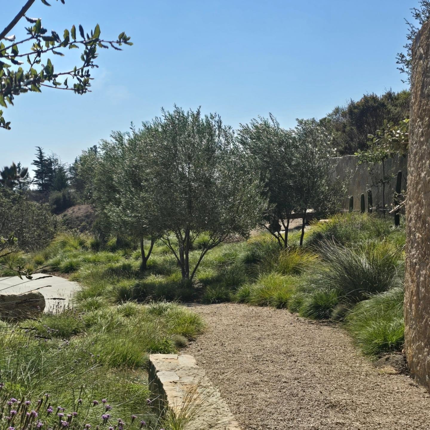 Site visit #BigSur
#CarmelPointLandscapes
#LandscapeDesignBuildandMaintain
#LandscapeContractor