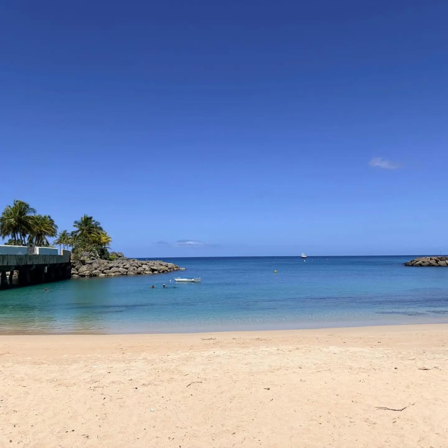 🌍 Happy World Tourism Day!
One of the loveliest parts of owning Carizma is welcoming guests from around the world to our little corner of Barbados. 🇧🇧
Whether it’s a first visit to the island, a return trip to somewhere you love, or simply time to slow down and enjoy the sunshine, we’re always delighted when Carizma becomes part of someone’s Barbados memories.
Thank you to everyone who has stayed with us, followed our journey or recommended us to friends and family. ❤️
Where in the world are you following us from today? 🌎
#WorldTourismDay #Barbados #VisitBarbados #Speightstown #BarbadosHoliday