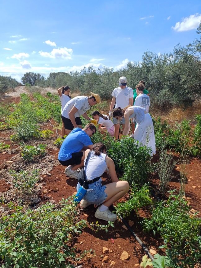 As classes begin here at the Italy Center, we look back with great satisfaction on our unforgettable field trip to Puglia!
Over several days, we explored the region’s complex relationship with migration, community, organized crime, sustainability, and cultural heritage, while experiencing the warmth, traditions, and incredible food that make Puglia so special.
Our journey began at @xfarmagricolturaprossima where we learned how land confiscated from the Sacra Corona Unita has been transformed into a thriving farm dedicated to social and ecological agriculture. After enjoying lunch made with local products picked by our students, we explored how agriculture can become a tool for social change. We also experienced Puglia’s cultural traditions through a Pizzica dance workshop with @beppe.v.loiacono
At Masseria Canali, @liberacontrolemafie introduced us to their work challenging organized crime and promoting social justice, including the story of Marcella Di Levrano, an innocent victim of the Sacra Corona Unita. In Otranto, we reflected on Italy’s history of migration at the Katër i Radës memorial, honoring the more than 100 Albanian refugees who lost their lives when the vessel collided with the Italian Navy ship Sibilla in 1997.
We also connected with local young people at Liceo Linguistico Palumbo @palumbinsta and spent a wonderful evening with the Comunità Africana di Brindisi, organized by @drissa19, learning about the community’s experiences and initiatives while enjoying food, music, and dancing.
Our exploration of sustainability continued at @lovetorreguaceto Torre Guaceto Natural Reserve, where we learned about environmental conservation, sustainable tourism, and protecting Italy’s natural ecosystems.
Along the way, we discovered Puglia’s rich history and culinary traditions, from Carovigno’s historic center and @musbicarovigno to farm-to-table dining at @ilcontadino.it and our final dinner at @miramaredamichele8.
We are deeply grateful to everyone who welcomed us, shared their knowledge and stories, and made this experience so special. We can’t wait to see how these encounters continue to shape our students’ perspectives long after they return home.