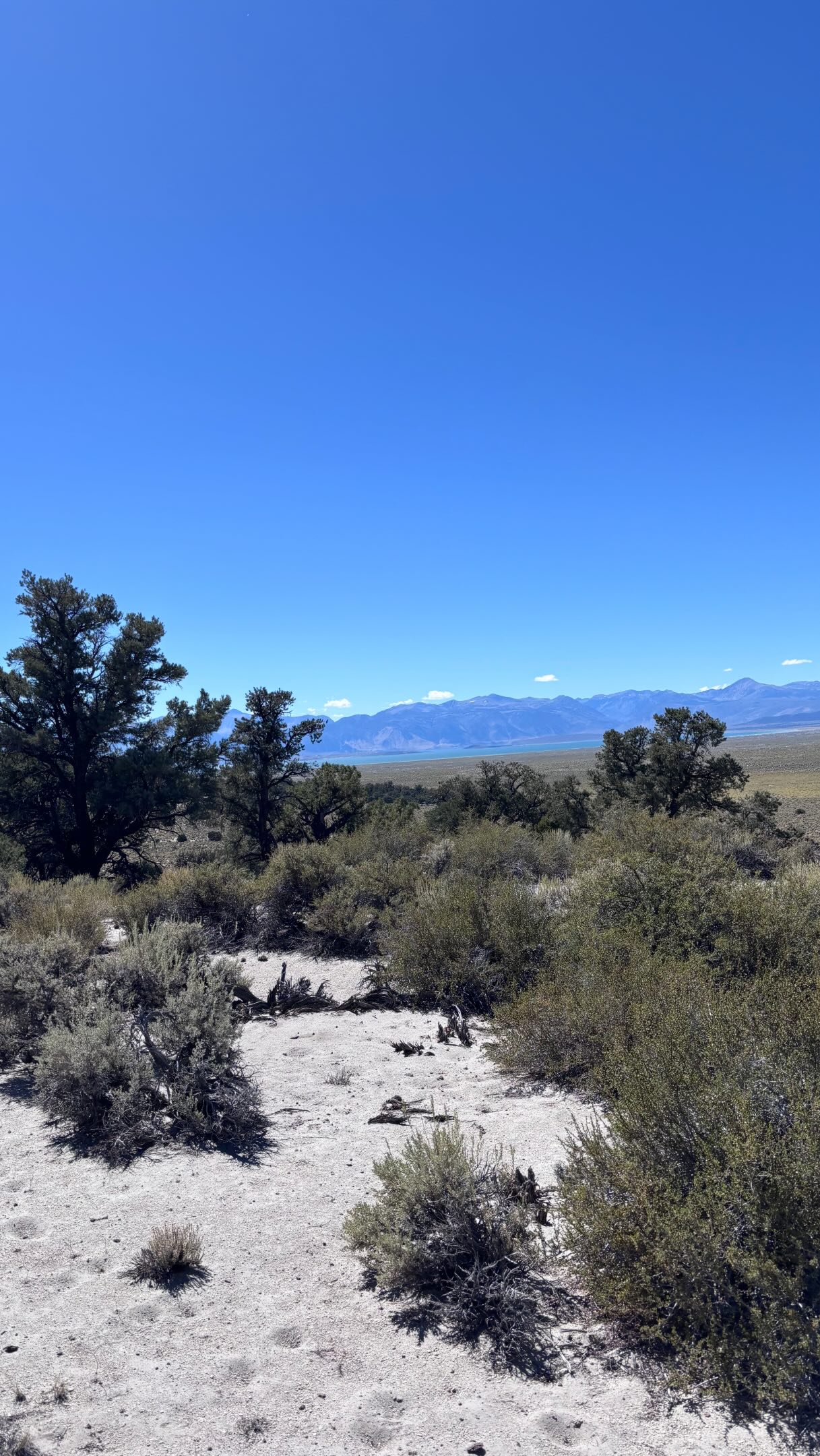 First few days on the trails… dusty, unbelievable views and an epic crew
#overland #offroad #adventure #veteran #mentalhealthrecovery