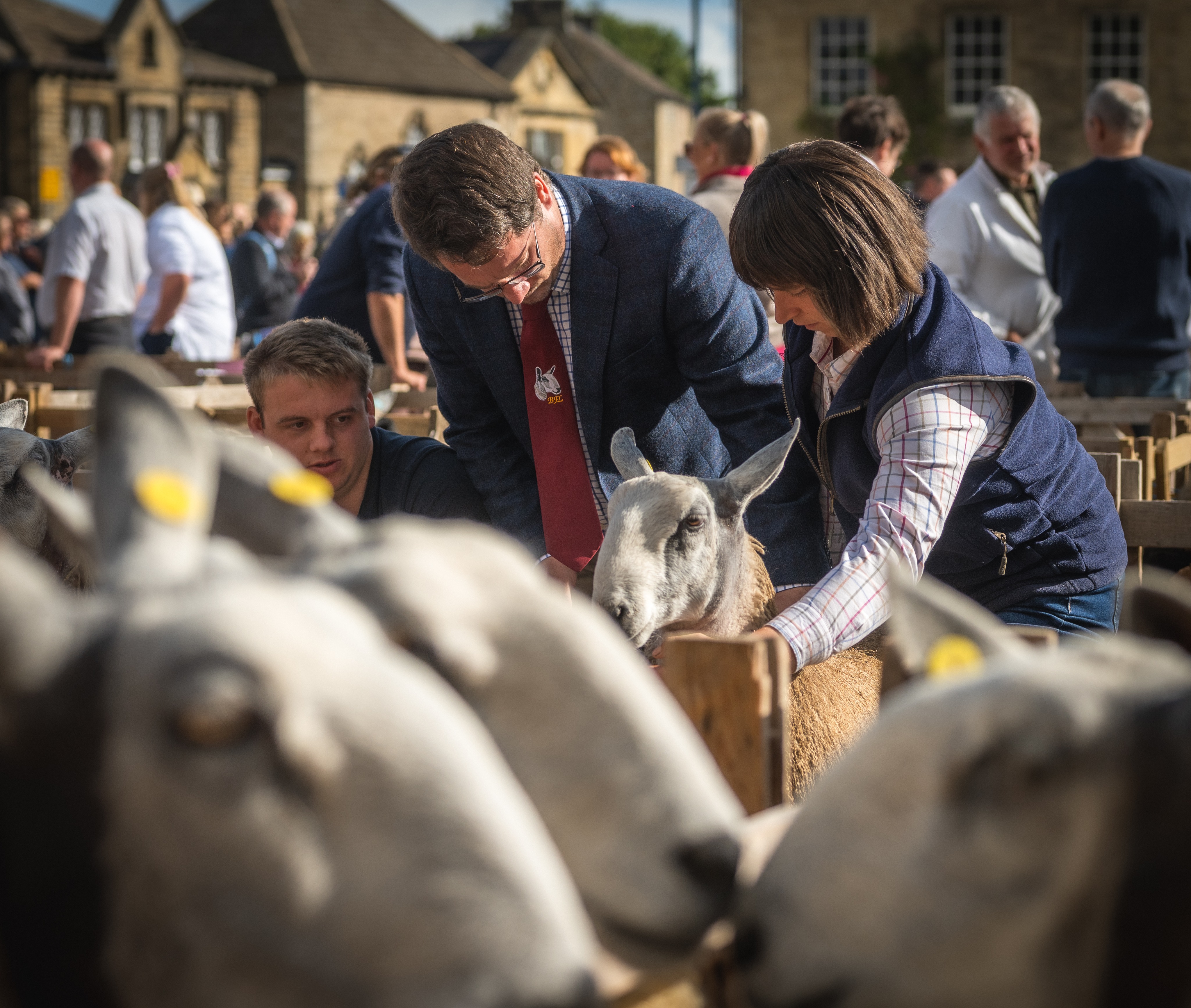 Masham Sheep Fair Photography Workshop, September 2026 #mashamsheepfair
