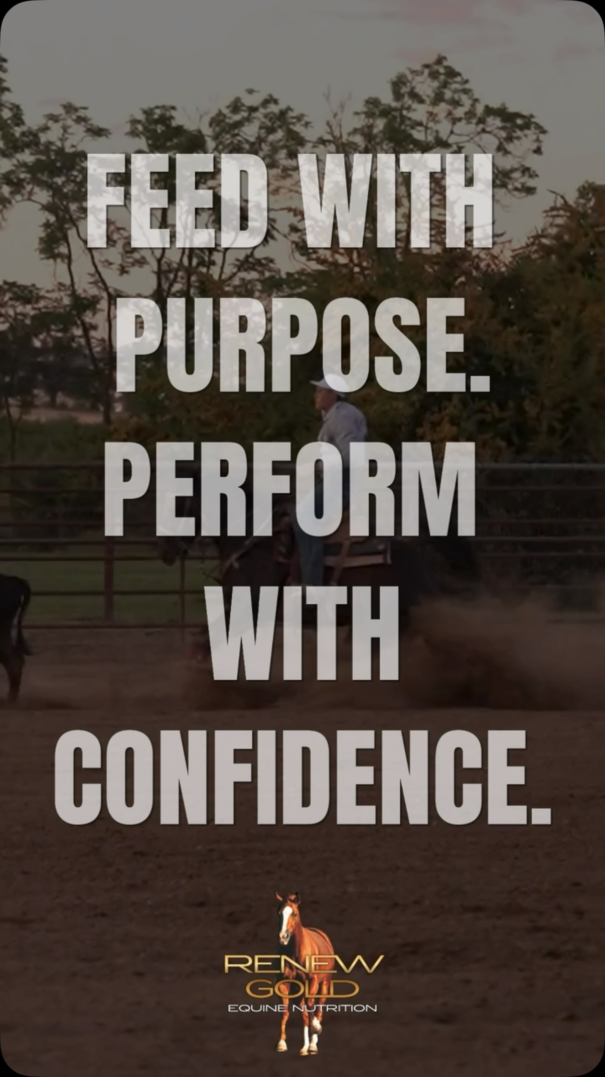 What you feed matters when performance matters. šŖš“ Renew Gold delivers concentrated nutrition in just 1 lb a day, supporting energy, digestion, and performance without the heavy grain load. Feed with purpose. Perform with confidence. ⨠@chase_dugo10 @katmdugo @209colorgirl