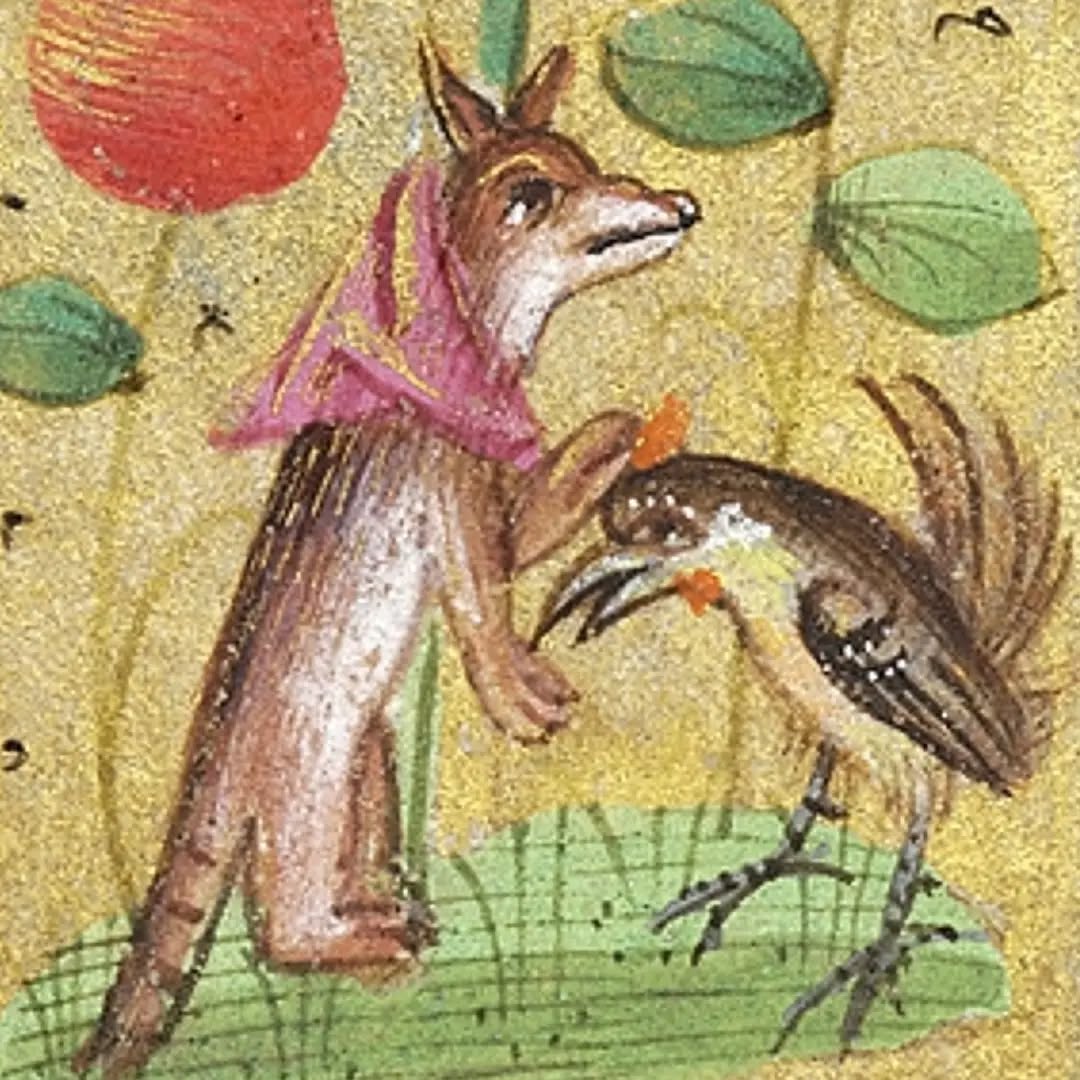 Animaux dans un Livre d'heures, 1480. Morgan Library, ms. M6.
#love #animals #medievalart #medievalmanuscript