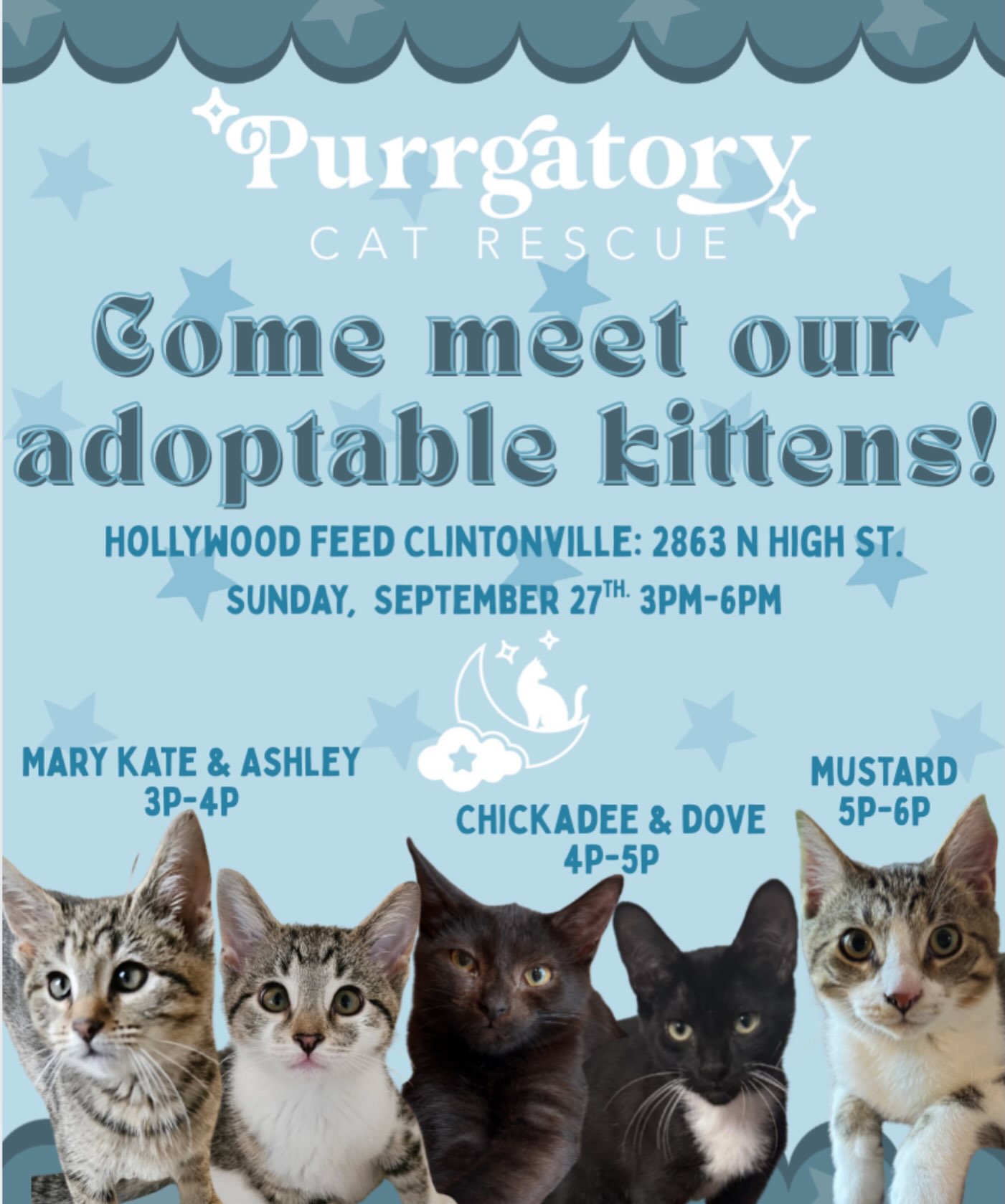 Come meet our adoptable kitties! π±π€ We will be at Hollywood Feed in Clintonville tomorrow from 3p-6p. See you there! π«