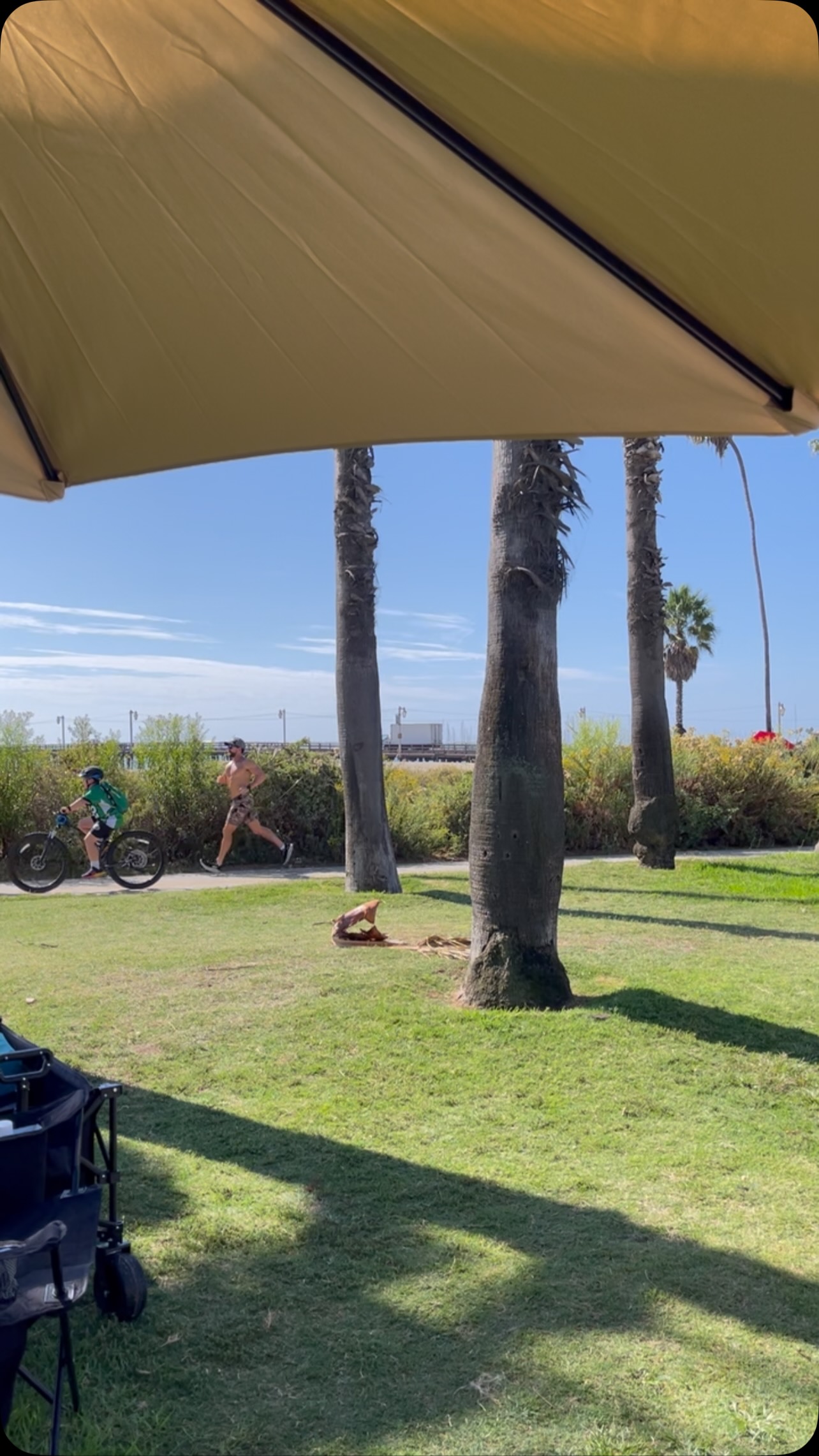 Another Perfect SB Day at the Beach! ☀️🌴
Check out local arts & crafts!
Today, Sun., September 27 to 3 PM
E. Cabrillo Blvd 🔹Space 34🔹facing OKU
@sbartsandcrafts
#CoveEcoGear #CraftedInCalifornia #SantaBarbaraCreatives #CoastalCreativity #SantaBarbaraArtsAndCraftsShow