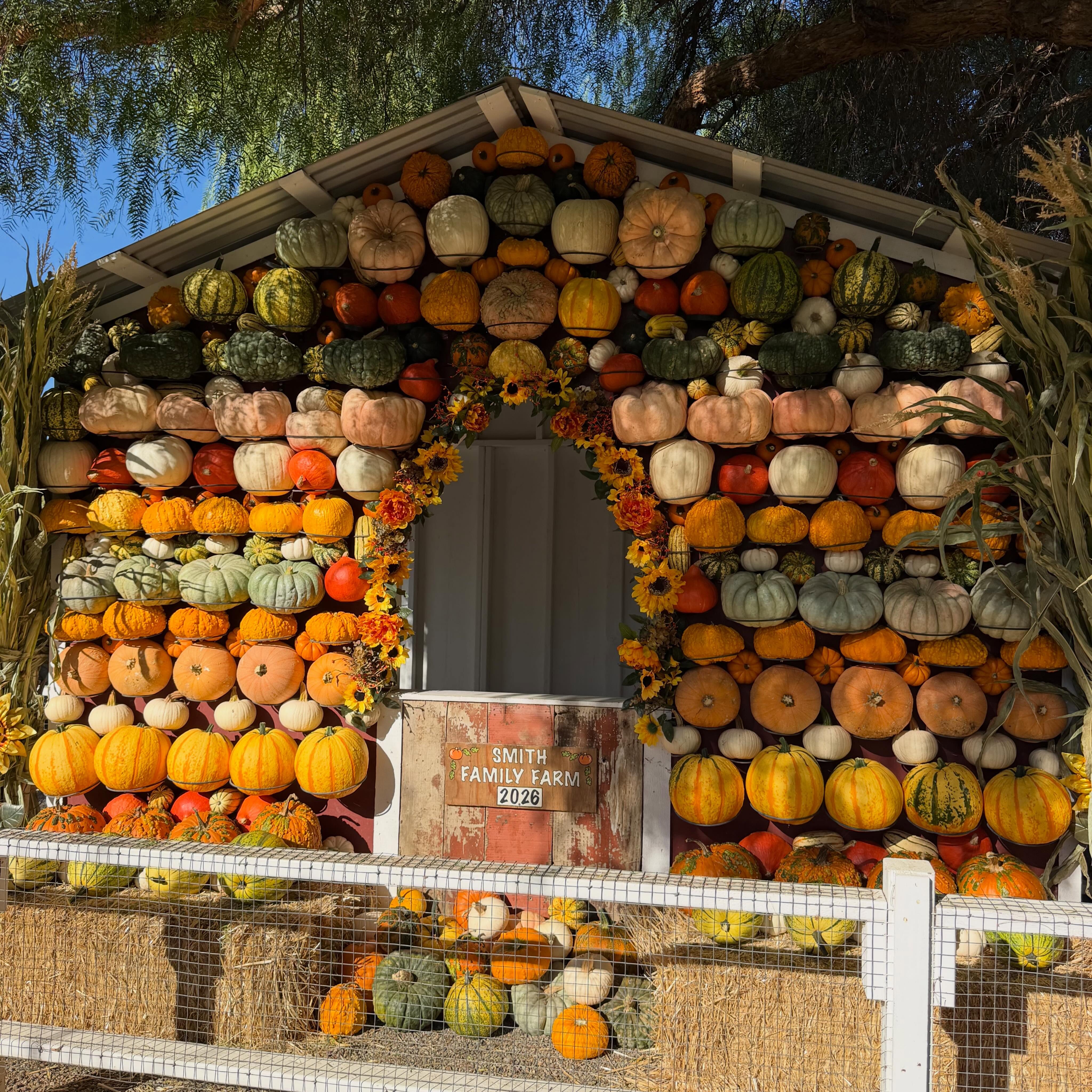Smith Family Farm Pumpkin Patch// Another year of pumpkin patch magic at @sffbrentwood.
There’s something special about returning to the same place year after year & watching our boys grow alongside one of our favorite fall traditions. What started as a trip to the pumpkin patch has become something we look forward to every year.
Smith Family Farm has been bringing fresh produce & family fun to Brentwood & the East Bay for more than four decades, & their Pumpkin Harvest is so much more than finding the perfect pumpkin. From wandering through the patch & gardens to visiting the barnyard animals, listening to live music, exploring the corn maze & simply soaking in the magic of fall on the farm.
Six years of making memories we’ll treasure forever at one of our favorite family traditions. #tinkerwonderplay #bayareafamily #bayareafamilies #bayareakids #bayareakidsactivities