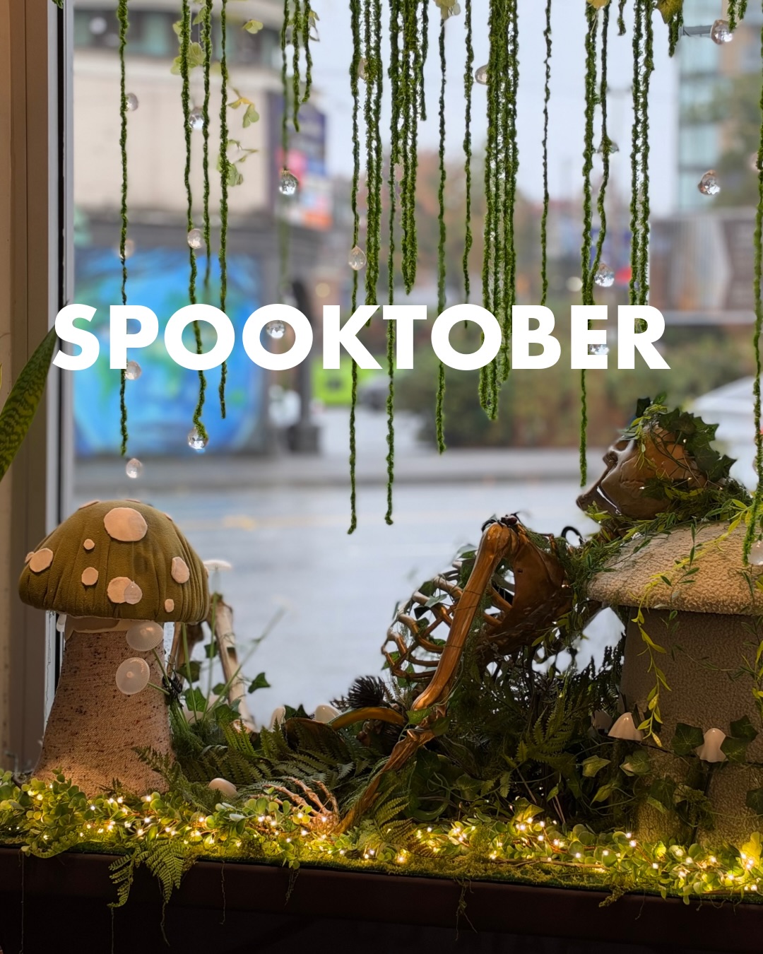 Spooktober
Our favourite season has arrived. 💀✨
Turns out the secret to looking incredible is lying very still in a damp forest for several months.
We don’t recommend it.
We do recommend our new window.
Moss, mushrooms, ferns, and several skeletons having the time of their afterlives.
Decomposing beautifully since 2017.
🍄💚🕸️
#fieldtriphair
#eastvanhair #mountpleasantvan #spooktober
#halloweendecorations
