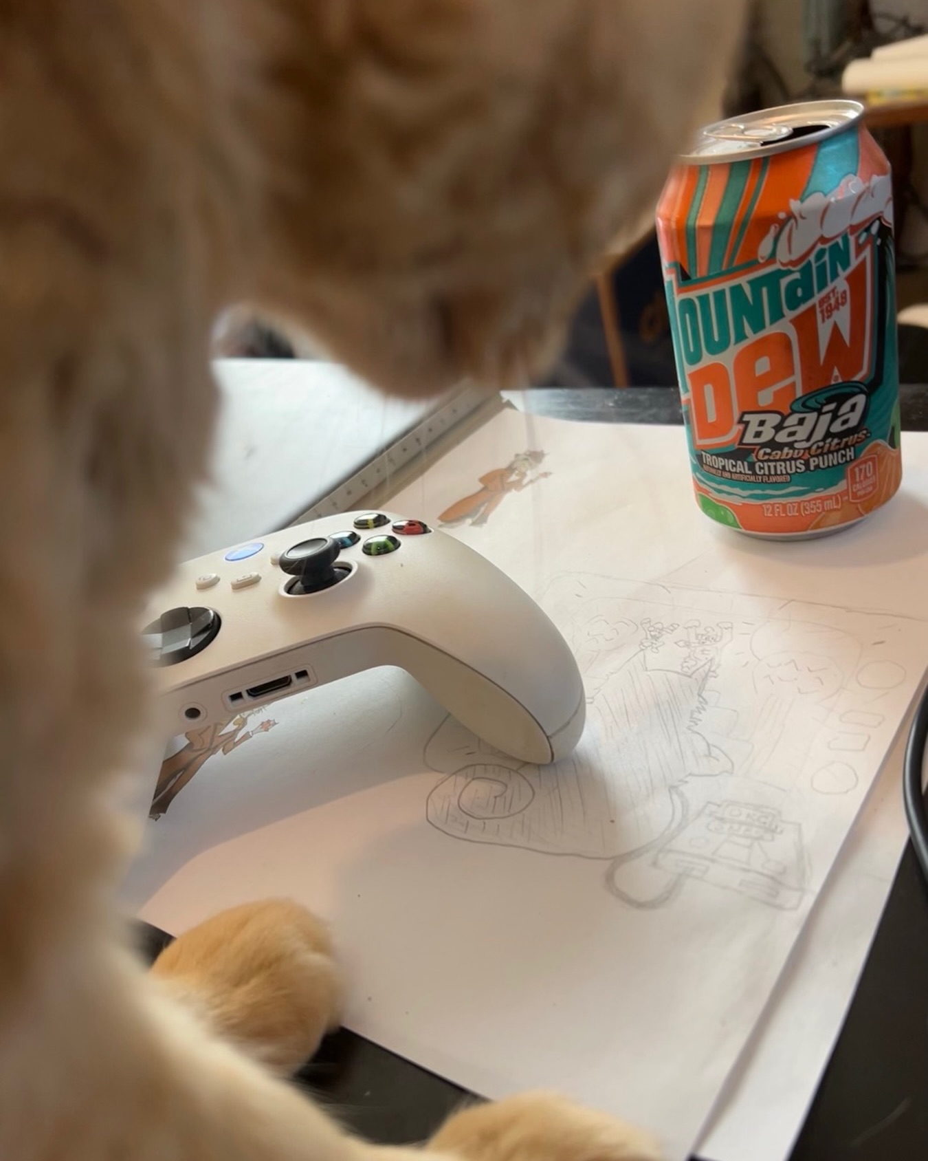 Drawing with my inspirations all around and inside me.