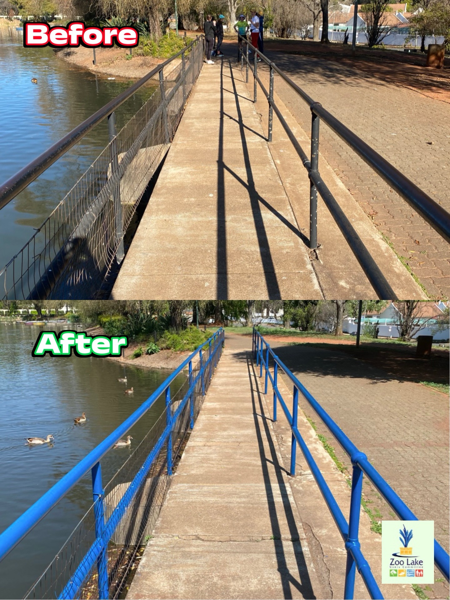 Small gestures. That’s how we transform Jo’burg’s green gem into a place we can be proud of once again.
Visit zoolake.co.za to get involved today.