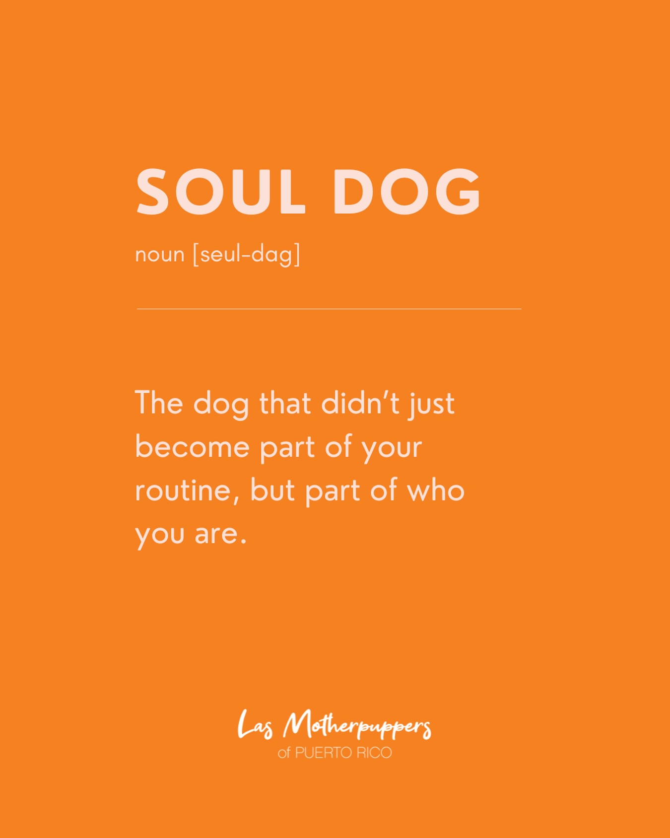 Hay perros que llegan a tu vida… y hay perros que se convierten en parte de tu alma. 🧡🐾
Tu soul dog conoce tus silencios, celebra tus alegrías y transforma hasta los días más simples en recuerdos inolvidables. No es solo parte de tu rutina: es parte de quien eres.
¿Quién es tu soul dog? Cuéntanos su nombre en los comentarios. 🥹👇
#dogsofpuertorico #SoulDog #DogMomsofPR #DogMomLife #PuertoRico
