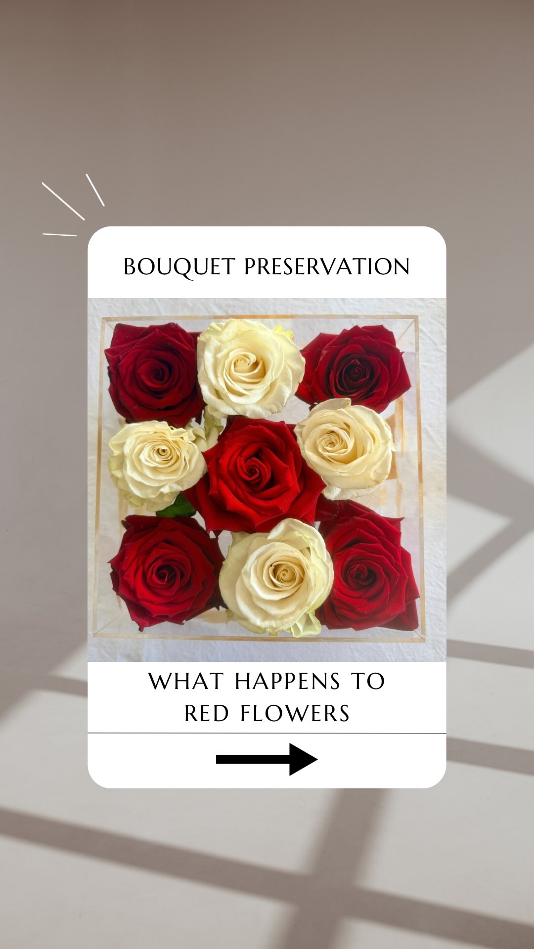 All the cool girls get their bouquets preserved 😎💐
Blair knew. Her red and white bouquet is now a stunning 3D keepsake she gets to look at every single day.
Brides, here’s your sign to think ahead 👇
Book your preservation before the wedding so your spot is locked in
Popular dates fill up fast
Your flowers need to come to me soon after the big day.
Your bouquet is one of the few things from your wedding day you can actually keep. Don’t let it end up in the bin 🥲
Enquire via the link in bio or send me a DM 💬