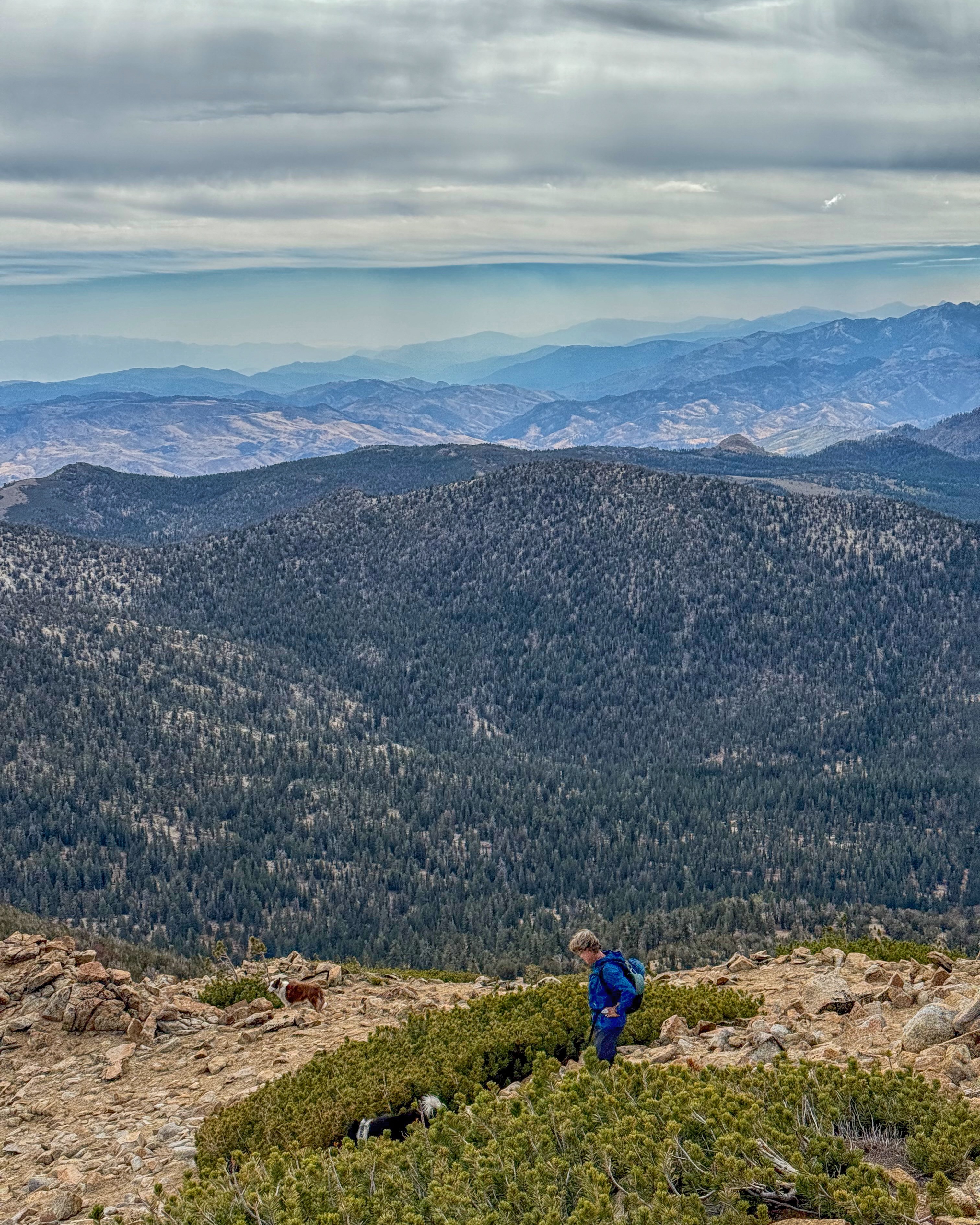 It's the Tahoe Triple: Freel Peak, Jobs and Jobs Sister. Betsy and I did it again after about 20 years.
When we first did it we had the kids with us, around 10 years old. At the time (without the loop trail) it was about 15 miles and 5,000 of gain. We were not good parents, I'm not sure what we were thinking. I did carry the youngest the last few miles.