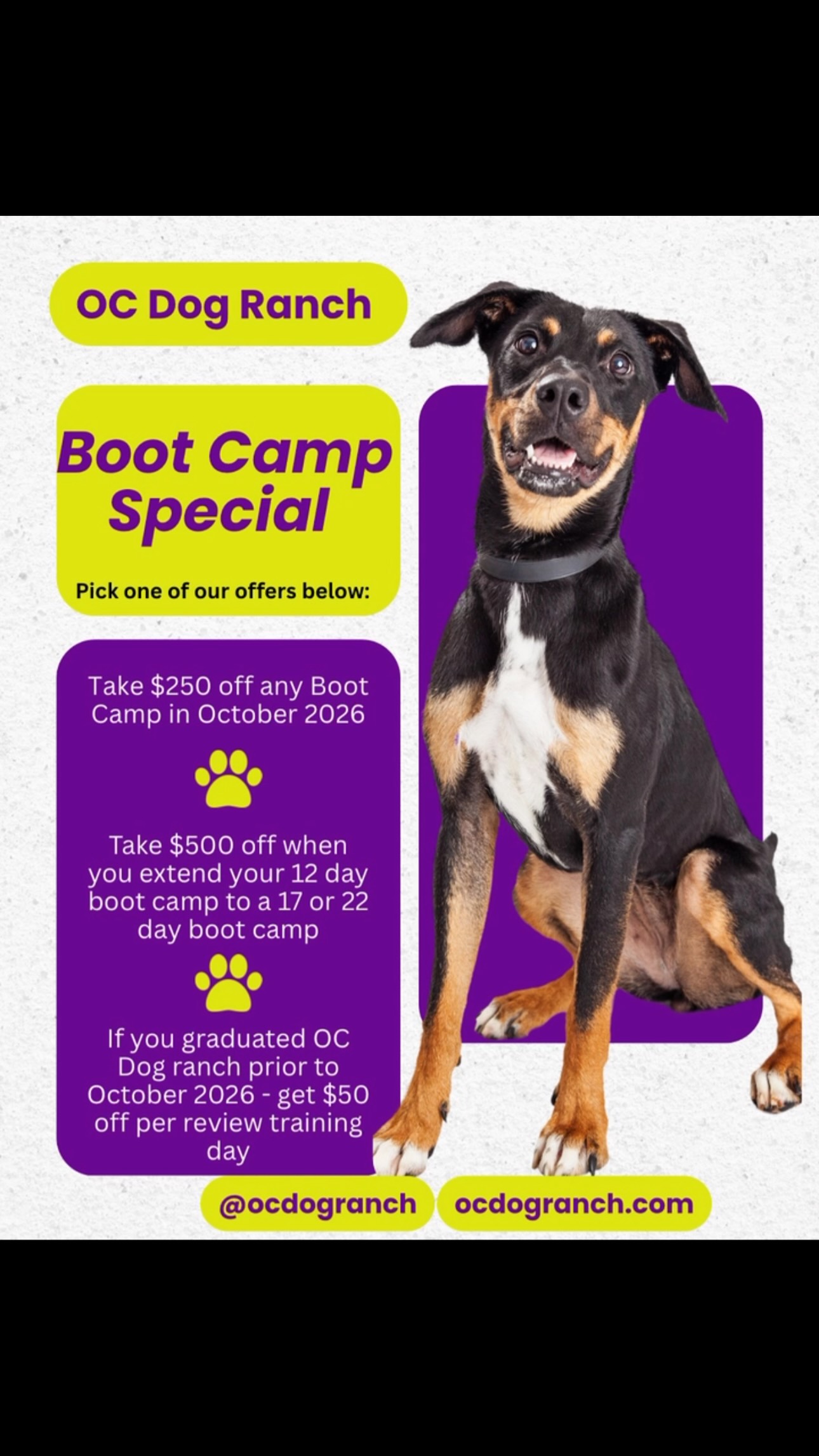 Dropping a training special for October. Newly signed dogs who start and complete their training program in October 2026 can take $250 off a 12 day program or $500 off a 17 or 22 day program. Mention this special on sign up!
Review dogs can take $50 off per training review day. Dogs who do 5 days of review training get a private lesson with a trainer!
Find out more on our website - ocdogranch.com or call 949-525-7362 ๐
#ocdogranch #dogboarding #bootcamp #dogtraining #obedience