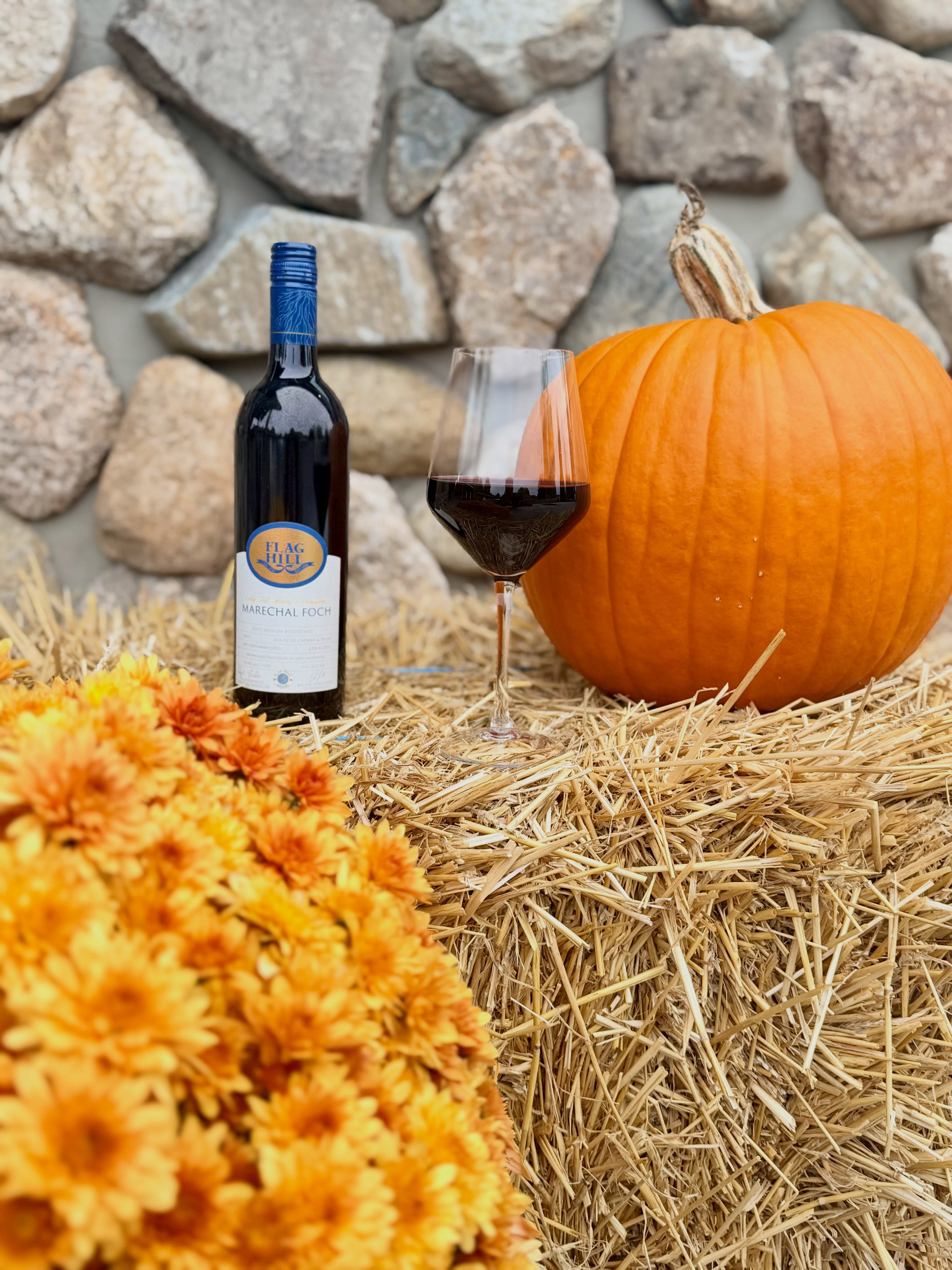 A little wind and rain? That’s not a storm, that’s just New England. 😂🌧️🍷 We’re still pouring, so stop by the tasting room and stock up before the weather decides to get dramatic.
For more information on our wines visit flaghill.com/winery
#flaghill #noreaster #newengland #winery #distillery