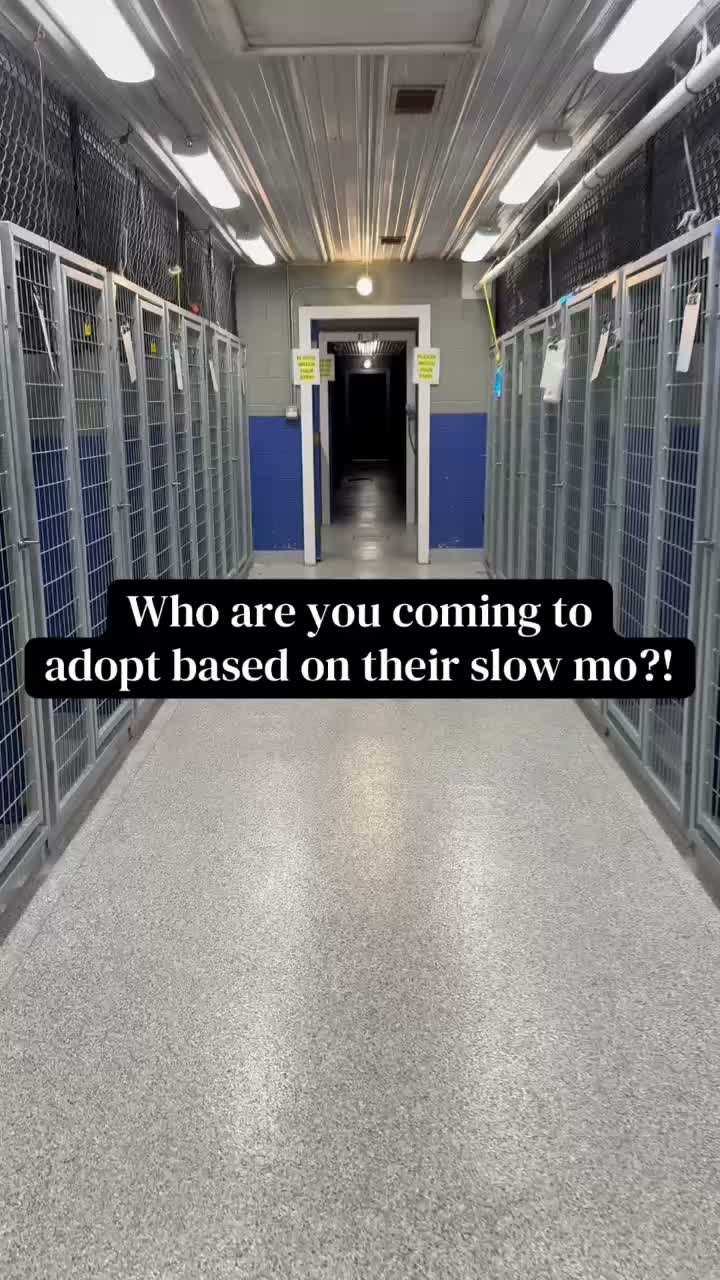 Learn more about them on our website. Info in comments.
