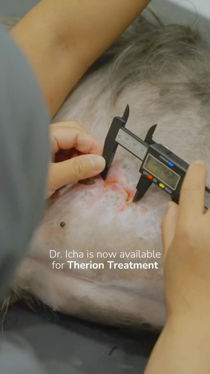 Mencari pilihan rehabilitasi terapi Therion yang nyaman dan non-invasif untuk anabul? Kini, drh. Diana sudah dapat melakukan Therion Bio-Stimulation Therapy di Modernvet Kuningan!
Therion merupakan teknologi rehabilitasi non-invasif yang membantu mendukung proses penyembuhan jaringan dengan lebih nyaman, sekaligus dapat digunakan pada pasien dengan berbagai kondisi kesehatan, termasuk pasien dengan tumor.
π Tersedia di Modernvet Kuningan bersama drh. Diana: setiap Senin & Selasa
Buat janji temu serta jadwalkan kunjungan anabul melalui book.modernvet.co atau klik link di bio kami!
β
Looking for a comfortable, non-invasive Therion therapy for your beloved pet? drh. Diana is now offering Therion Bio-Stimulation Therapy at Modernvet Kuningan!
Therion is a non-invasive rehabilitation technology designed to support tissue healing in a more comfortable way and can be used for patients with various health conditions, including pets with tumors.
π Available at Modernvet Kuningan with drh. Diana: every Monday & Tuesday
Book your petβs appointment and schedule a visit through book.modernvet.co or click the link in our bio!