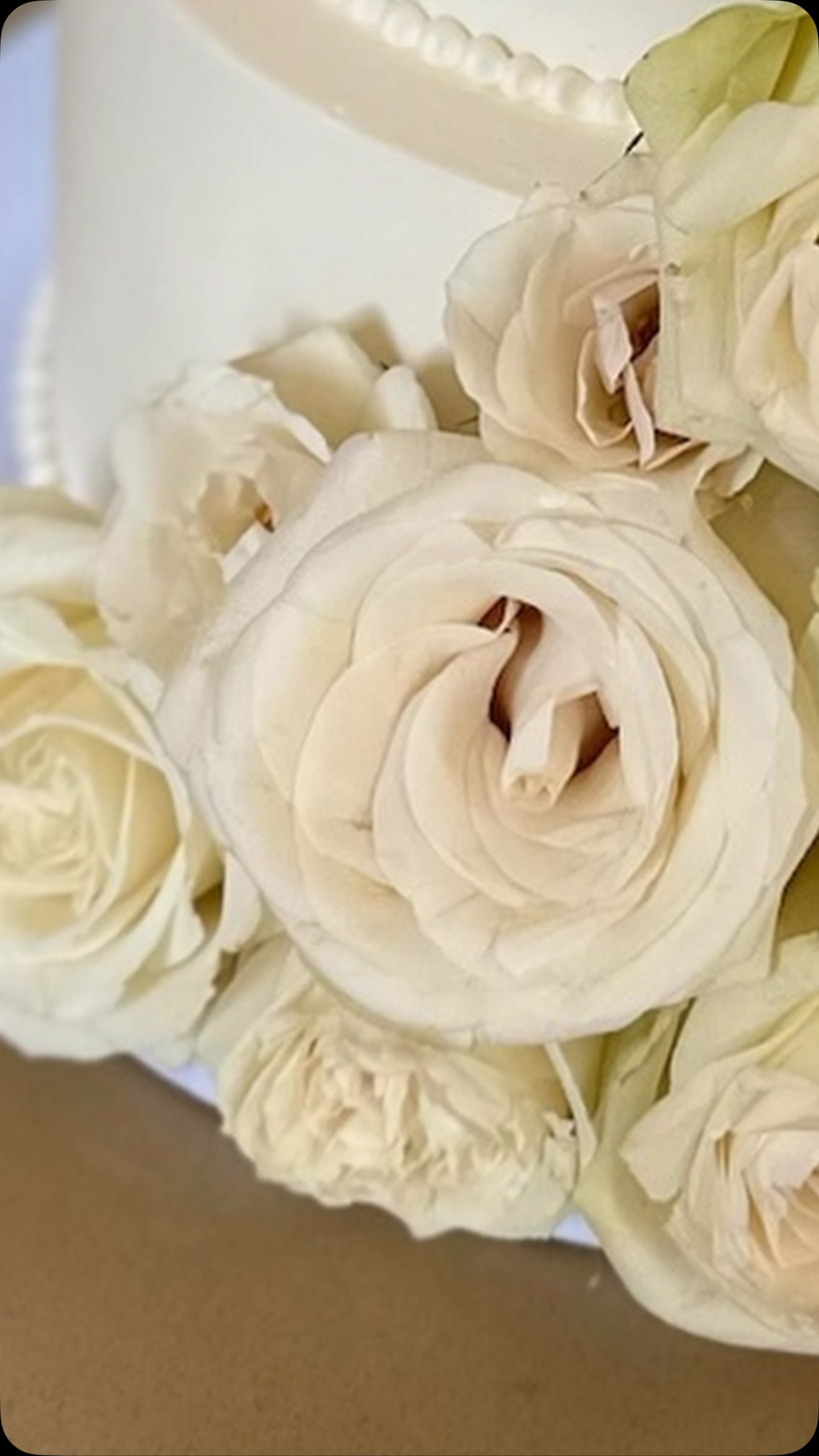 It was a pleasure to work with you, Madison & Matthew! And of course, all the talented vendors!
@maddypetry4
Planning + Design @lovelacedesignevents
Venue @thewadsworthmansion
Caterer @davidalanhospitalitygroup
Photographer @lukewaynephoto
Video @willowtreefilms
Content @thesocialfm
Florals @petalbysabrina
Live Painter @livepaintingbymarina
Strings @ariana_strings
DJ @jockintheboxentertainment @dicampowers
Saxophone @j.2legacy
Cocktail Hour Bar @tinybubblesontap
Hair and Makeup @thestatelyrose
Lighting @EZ_ocassions
Rentals @peakeventservices @rentpearl
Linen @theonicollection @bbjlatavola
Transportation @Elite_limousine_ct
Stationery @Tulalooct
Cake @madgateaux
Dress @galialahav @vows_bridepower
Bridal Shoes @bellabelleshoes
Espresso Bar @formalindulgence_ct
Dance Floor @gotoshout
Gelato @dolceandgelatocatering