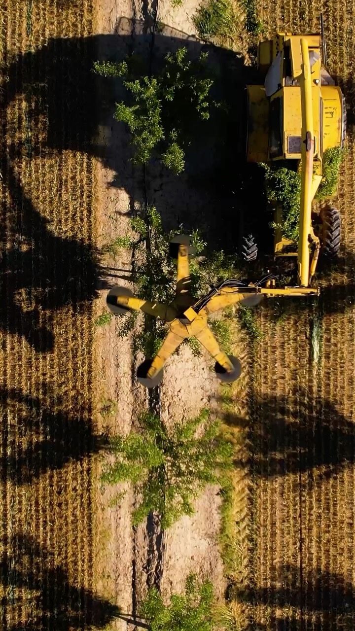 Topping season is in full swing. 🌳🔥 Don’t wait to get on the schedule—give us a call and let’s get your orchard taken care of!
📞North Valley: (209) 564-8207
📞Central Valley: (559) 363-3315
📞South Valley: (559) 201-3189
#TreeBarber #ToppingSeason #OrchardTopping #OrchardManagement #CaliforniaAg
